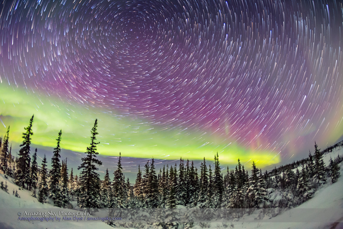 Canon EOS 6D + Canon EF 15mm F2.8 Fisheye sample photo. Circumpolar star trails and aurora (feb 9, 2016) photography