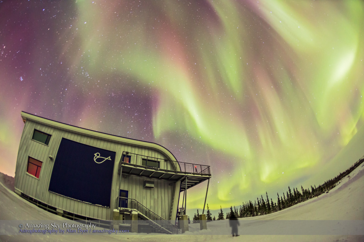 Canon EOS 6D + Canon EF 15mm F2.8 Fisheye sample photo. Gazing at the aurora from churchill photography