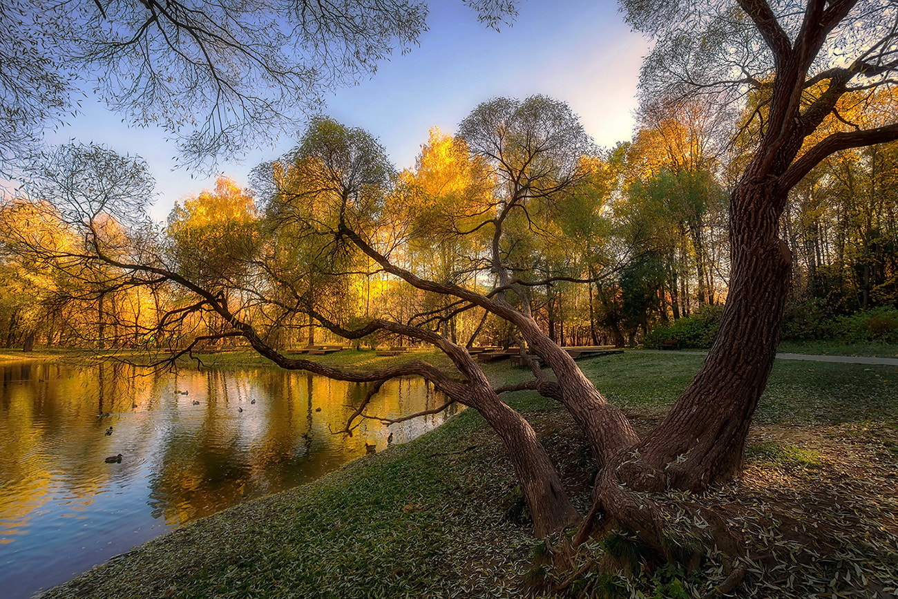 Sony ILCA-77M2 + Sigma 10-20mm F3.5 EX DC HSM sample photo. В золоте осени photography