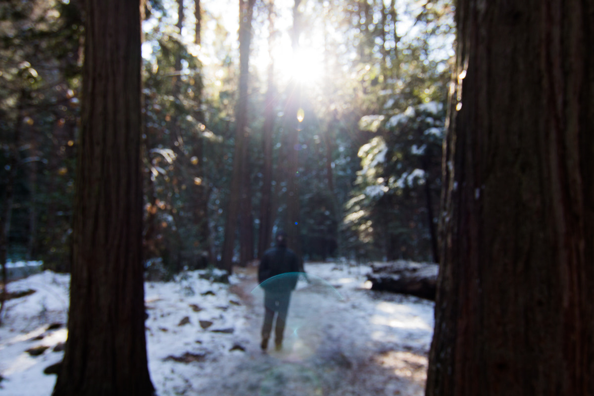 Tokina AT-X Pro 12-24mm F4 (IF) DX sample photo. Yosemite walks photography