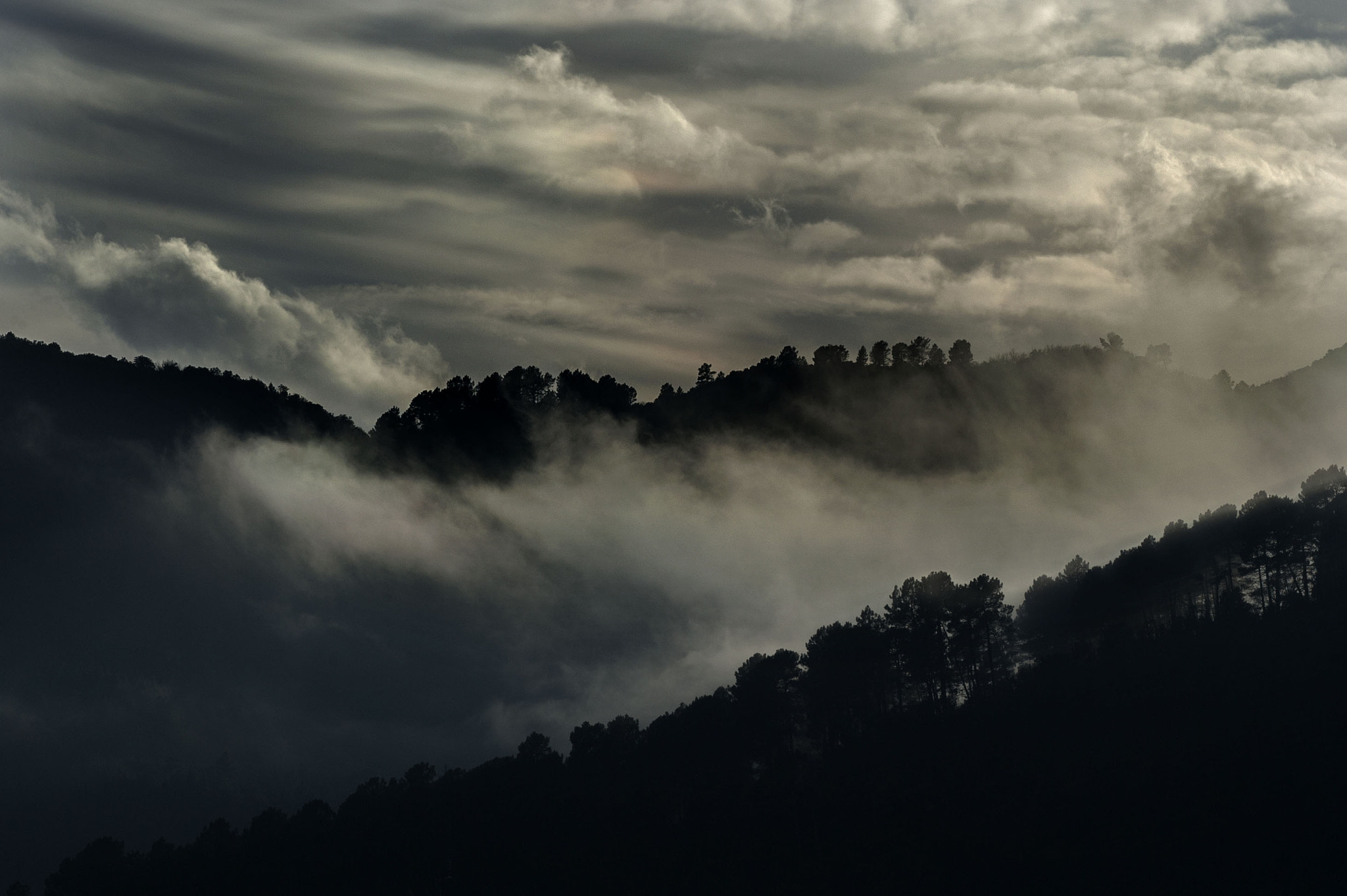 AF-S Zoom-Nikkor 80-200mm f/2.8D IF-ED sample photo. St jean du gard mont brion photography
