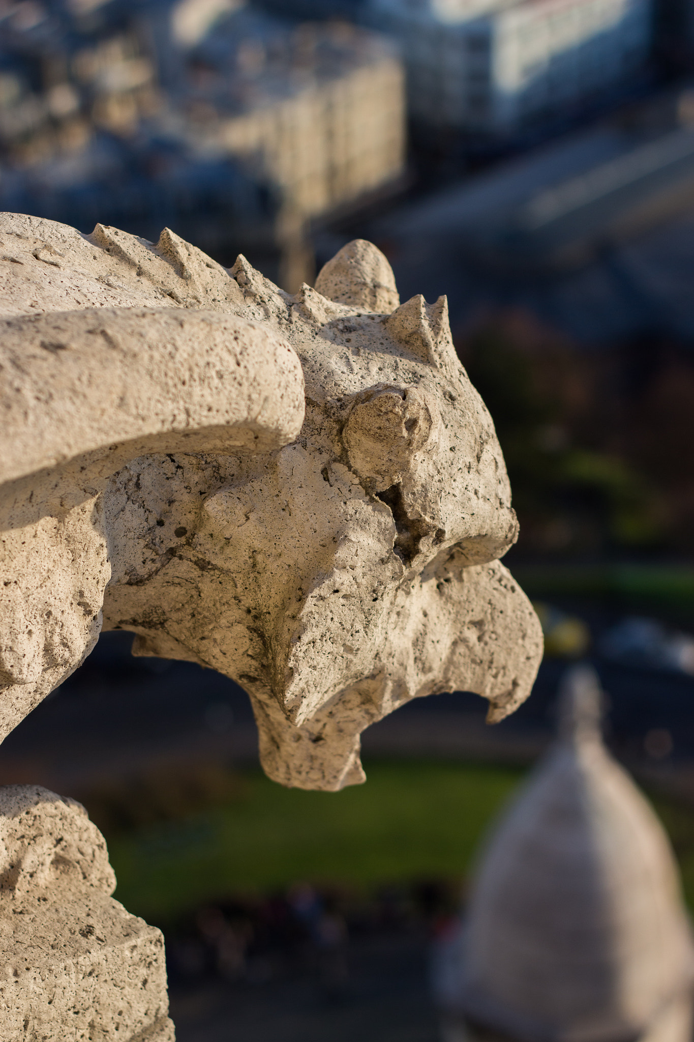 Canon EOS 100D (EOS Rebel SL1 / EOS Kiss X7) + Canon EF 50mm f/1.8 sample photo. A parisian gargoyle photography