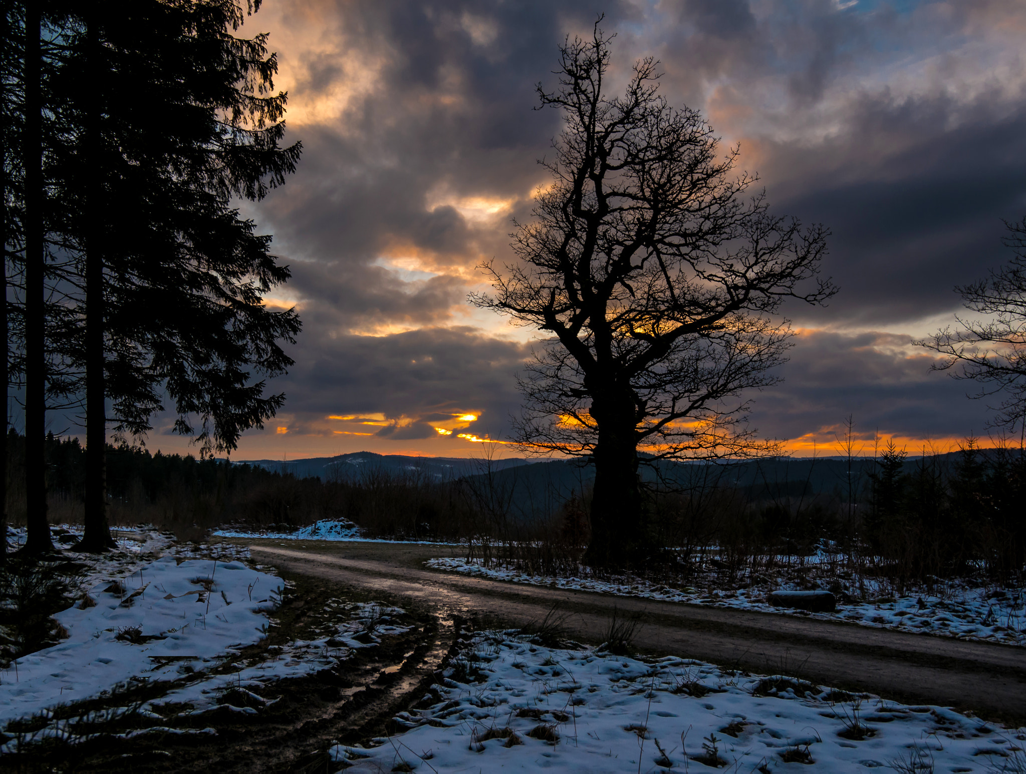 Panasonic DMC-G70 + OLYMPUS M.9-18mm F4.0-5.6 sample photo. Abend am burgfeld photography