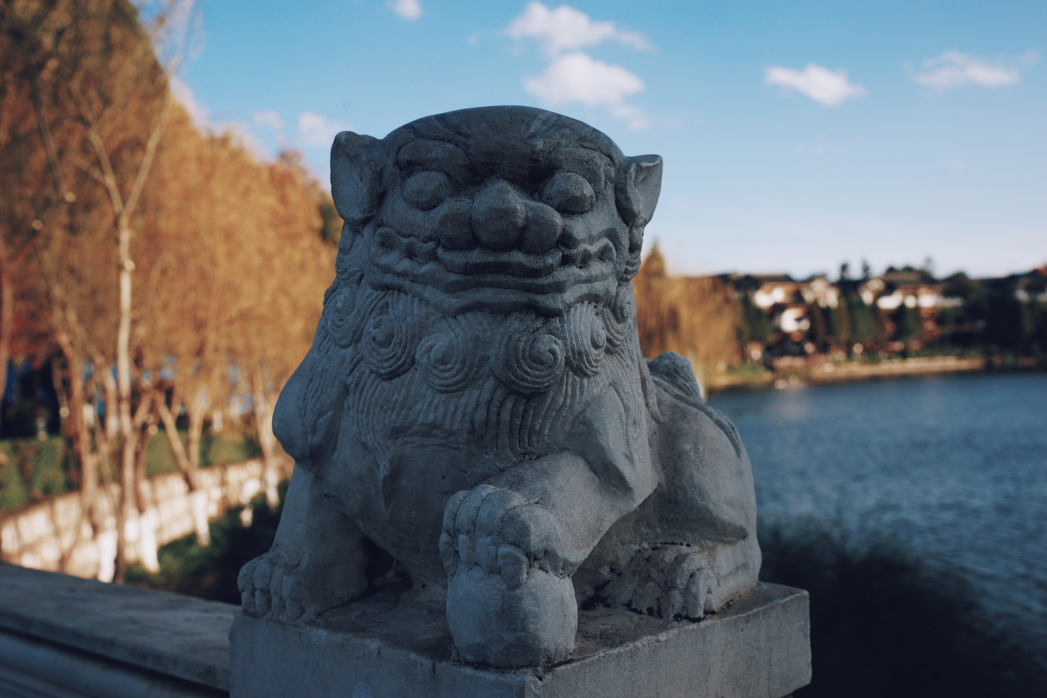 Hasselblad HV sample photo. Stone lion photography