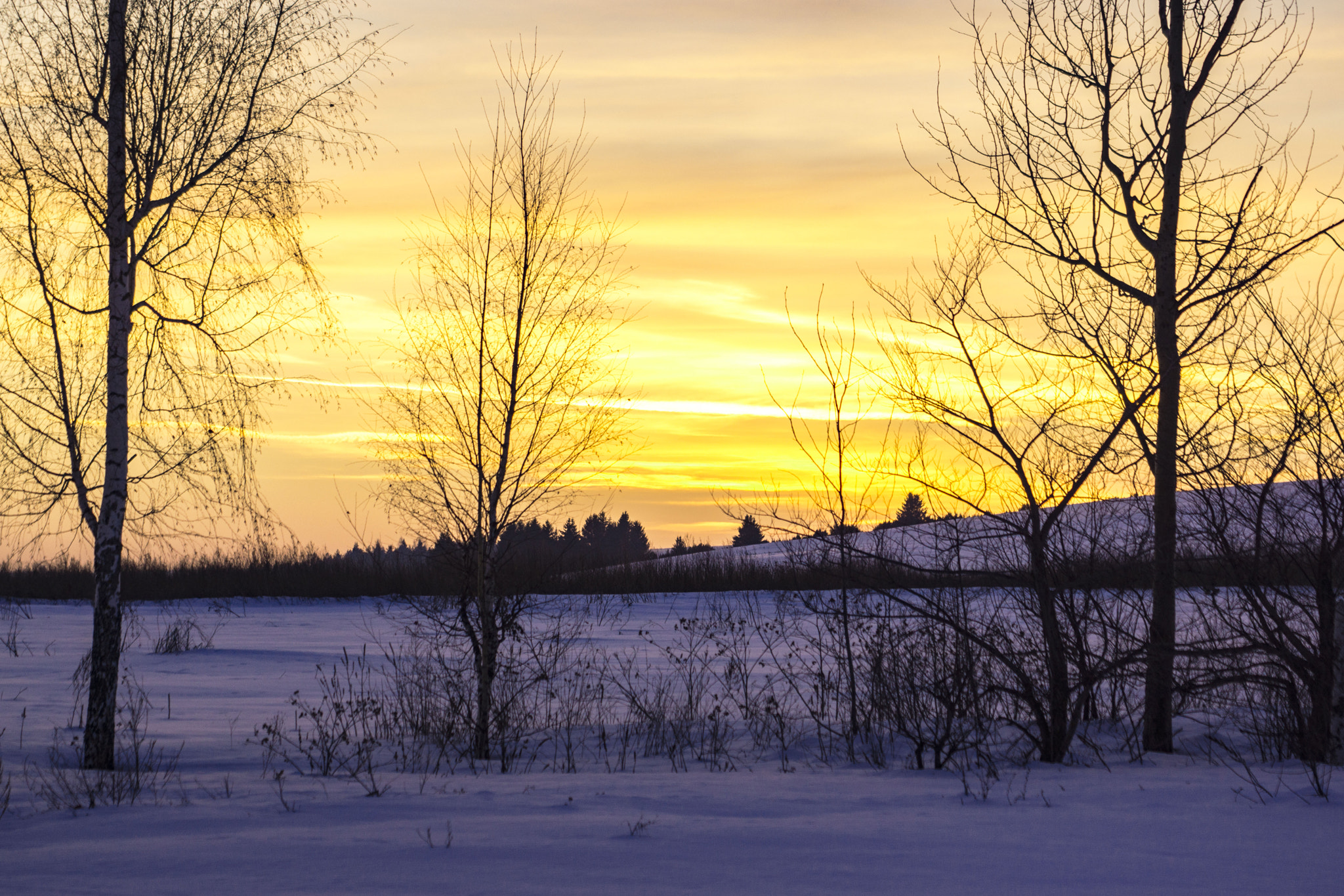 Sony SLT-A77 + Sigma 30mm F1.4 EX DC HSM sample photo. Winter evening photography