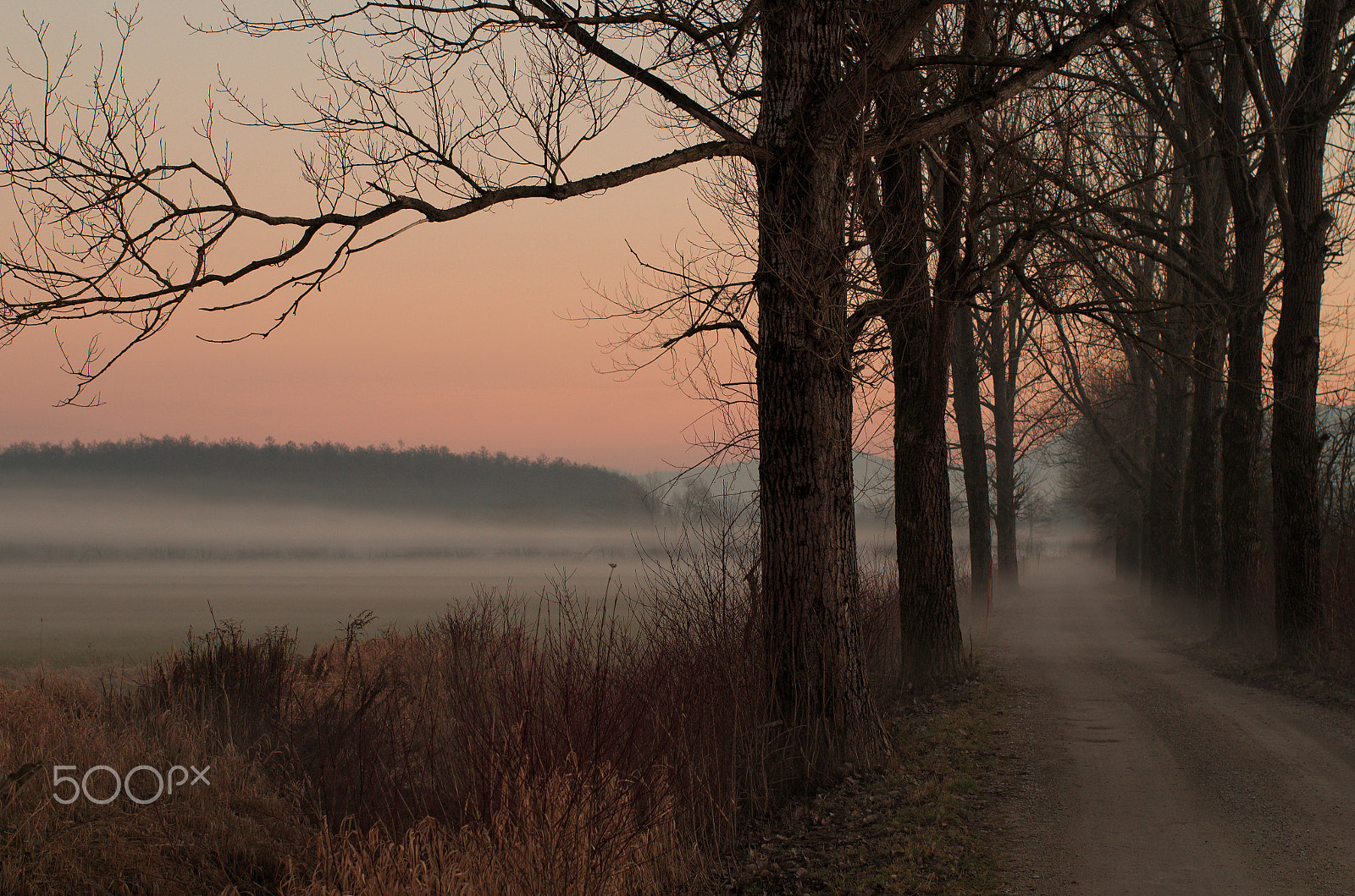 Pentax K-50 + Pentax smc FA 50mm F1.4 sample photo. Misty road photography