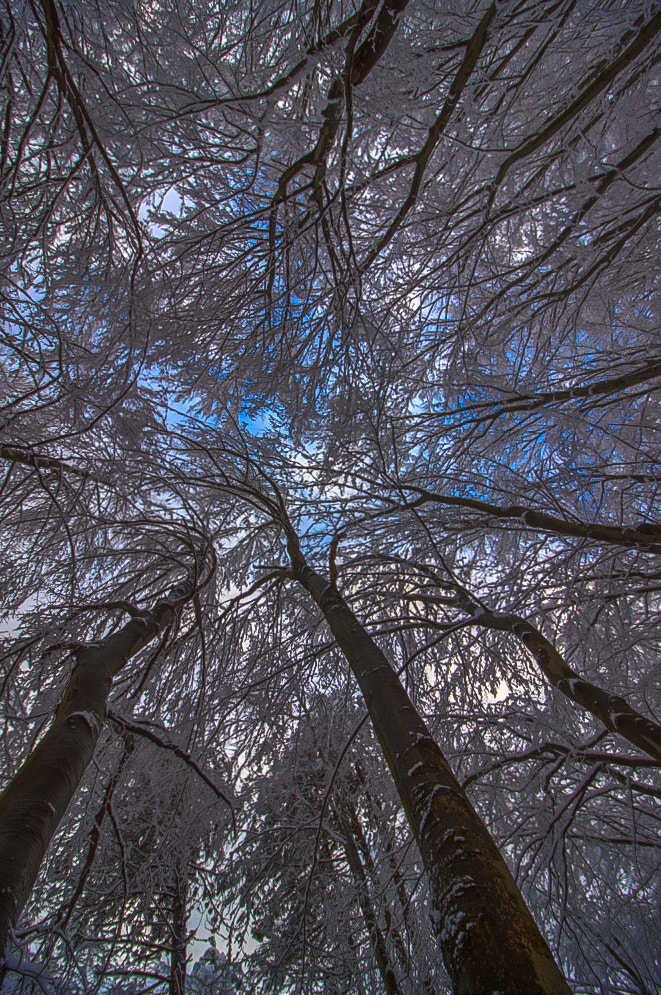 Canon EF-S 10-18mm F4.5–5.6 IS STM sample photo. Different perspective photography