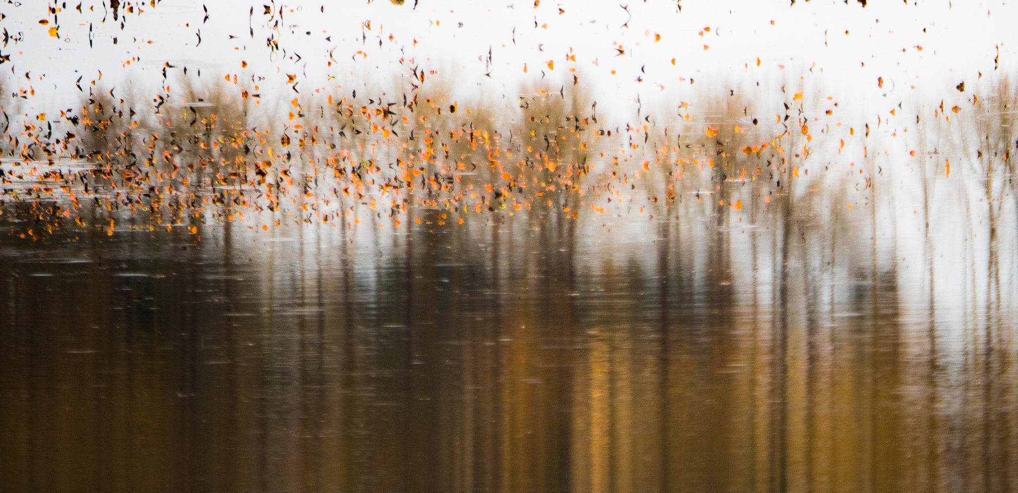 Panasonic Lumix G X Vario 35-100mm F2.8 OIS sample photo. Reflecting at the bay photography