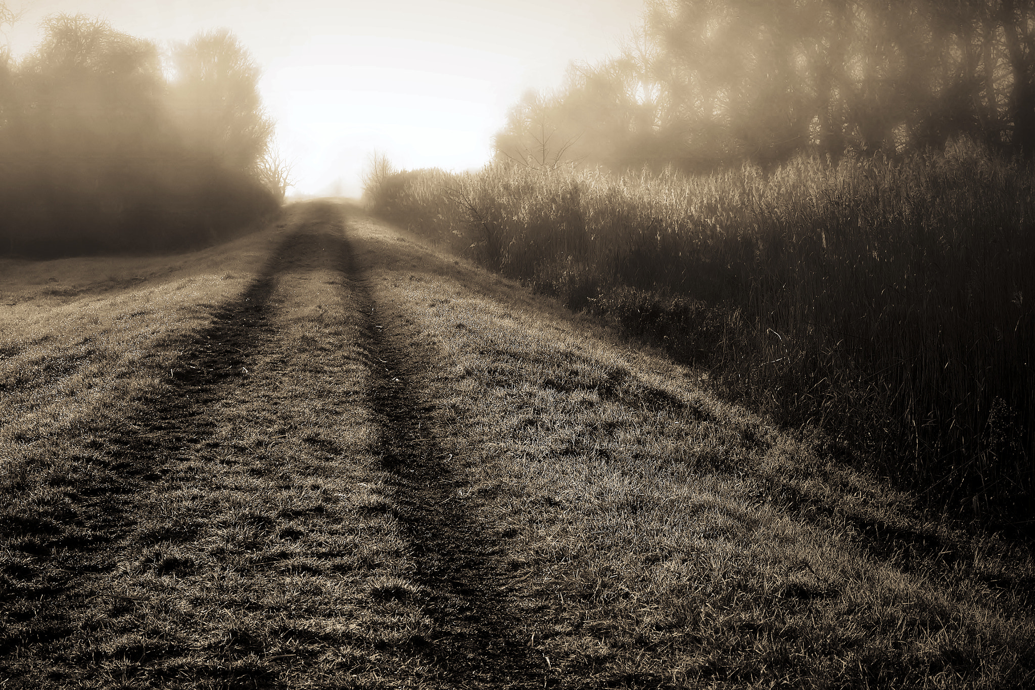 18.00 - 55.00 mm f/3.5 - 5.6 sample photo. Road..... photography