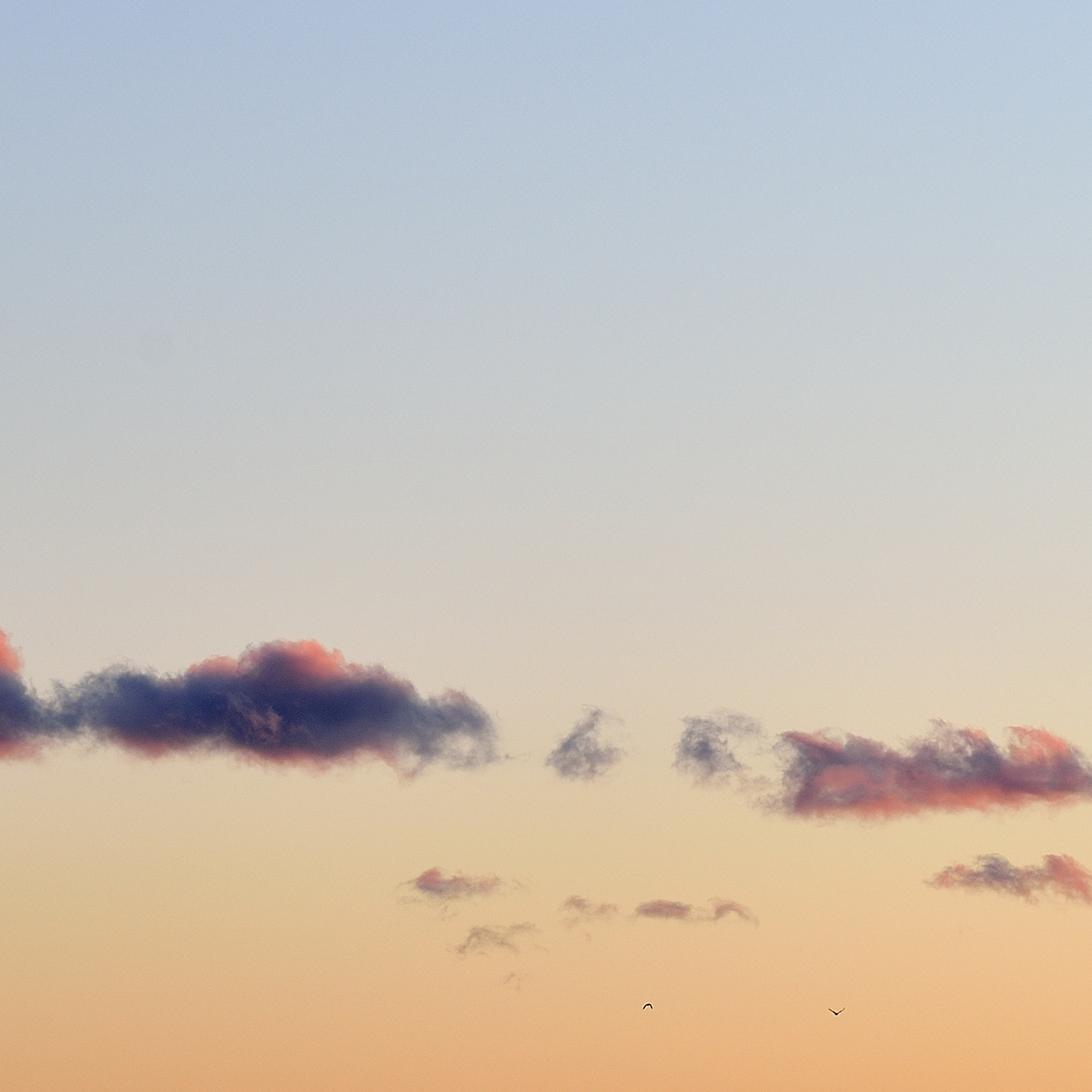 Nikon D610 + Nikon AF Nikkor 105mm F2D DC sample photo. Clouds photography
