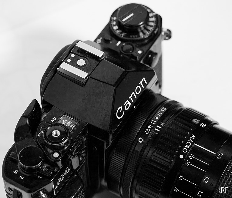 Canon EOS 5D + Canon EF 100mm F2.8L Macro IS USM sample photo. S photography