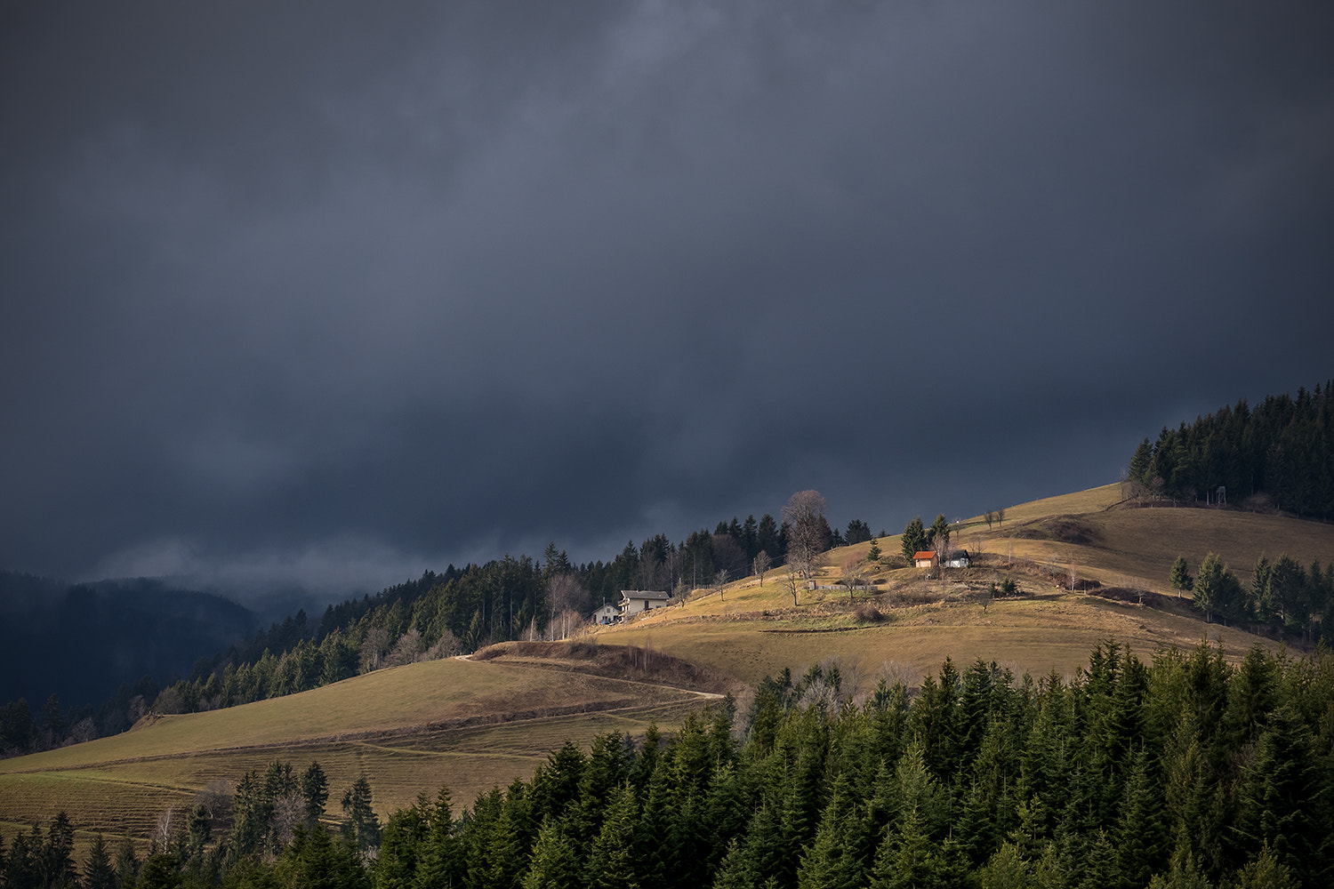 Panasonic Lumix G X Vario 35-100mm F2.8 OIS sample photo. Before snowing photography