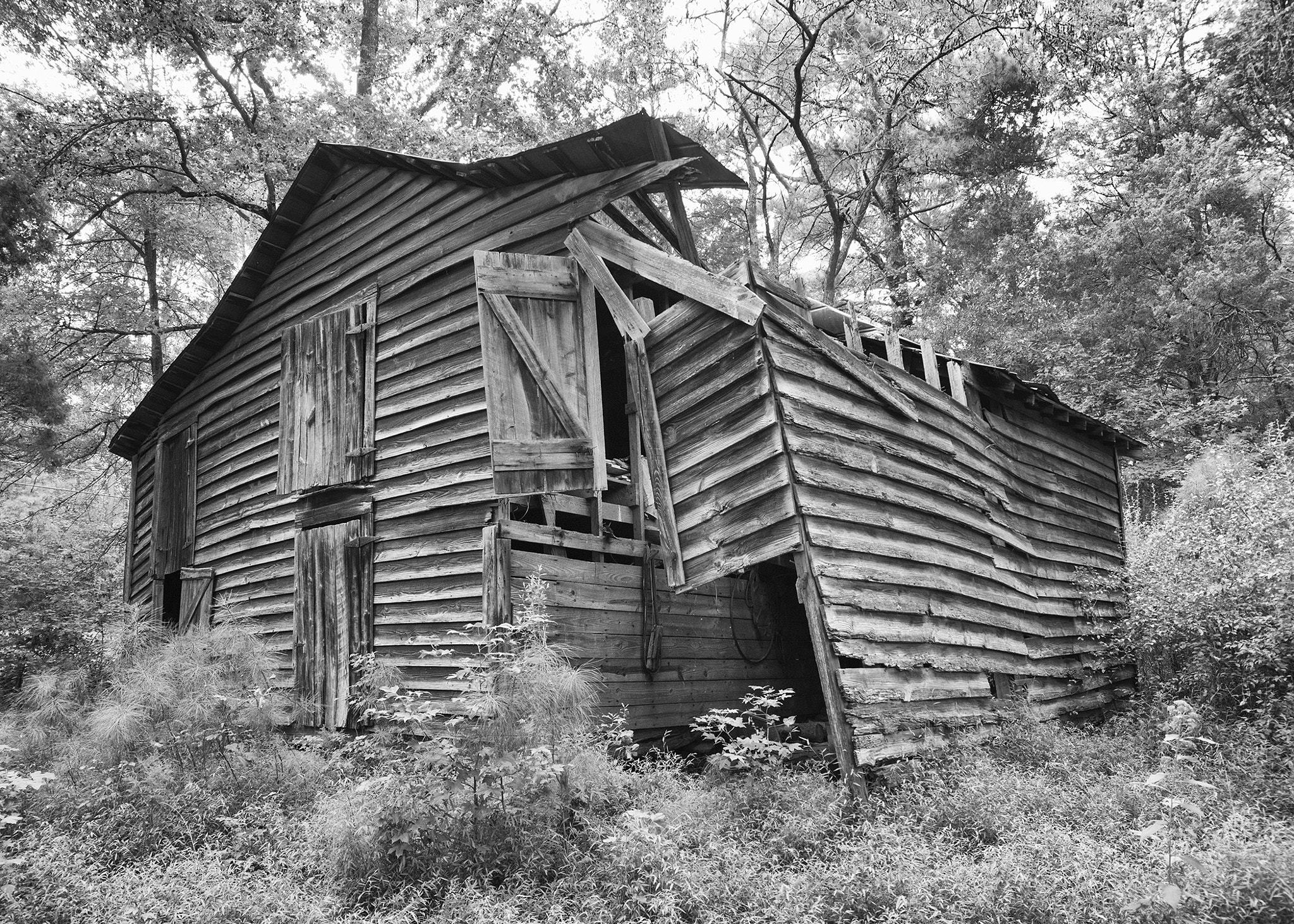 Sigma 24-70mm F2.8 EX DG HSM sample photo. Old wood barn photography