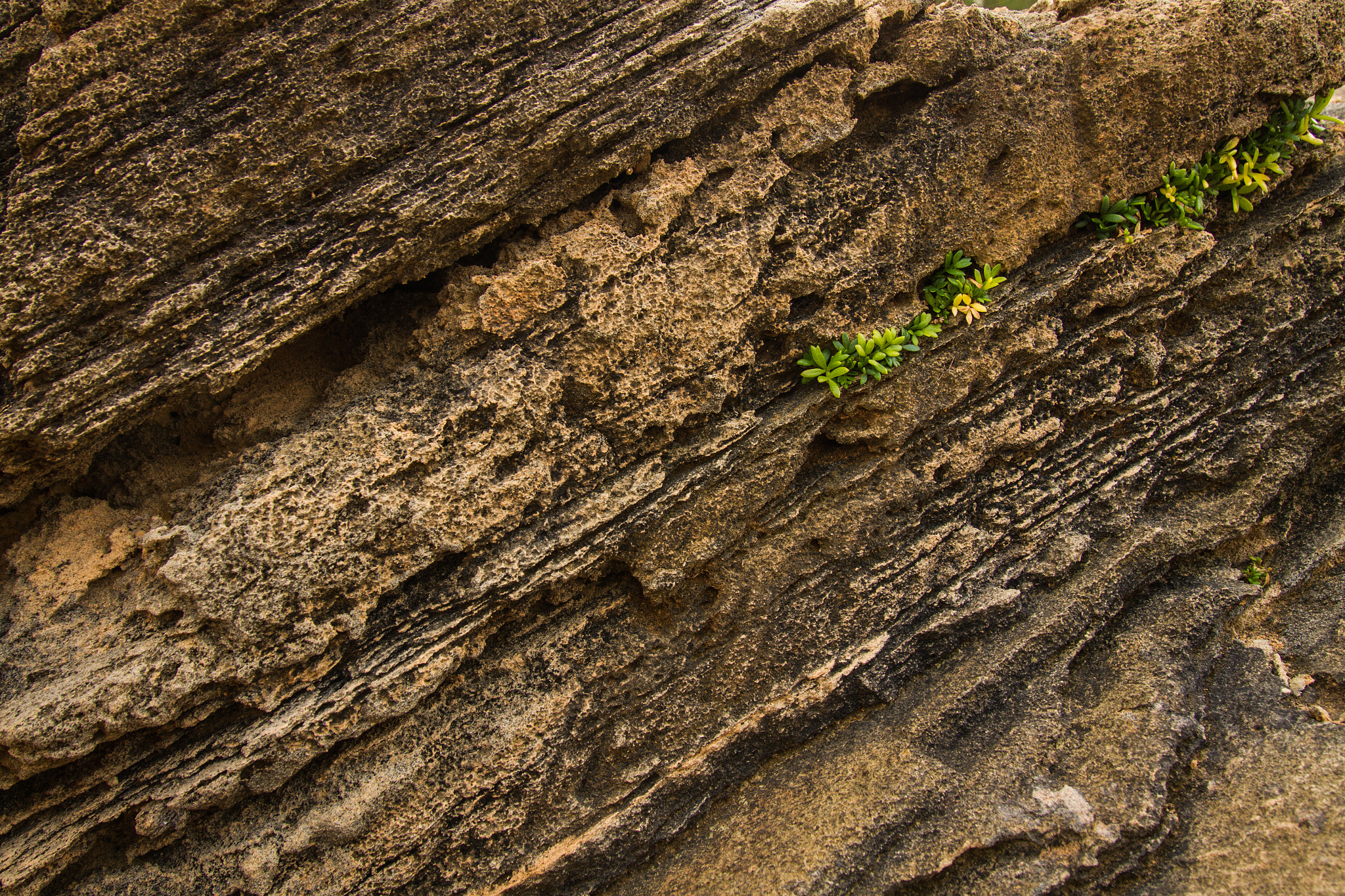 Sigma 24-105mm f/4 DG OS HSM | A sample photo. Roca en la victoria photography