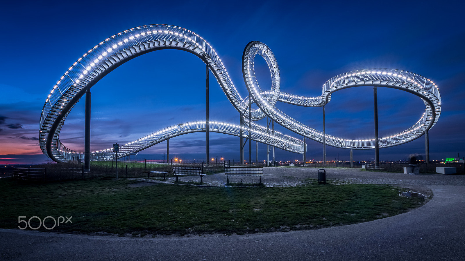 Sigma 8-16mm F4.5-5.6 DC HSM sample photo. [tiger and turtle] photography