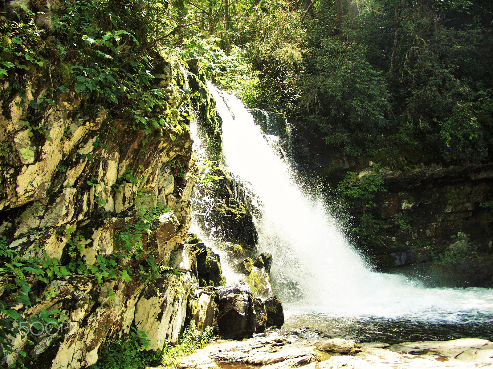 Olympus E-10 sample photo. Tennessee waterfall photography