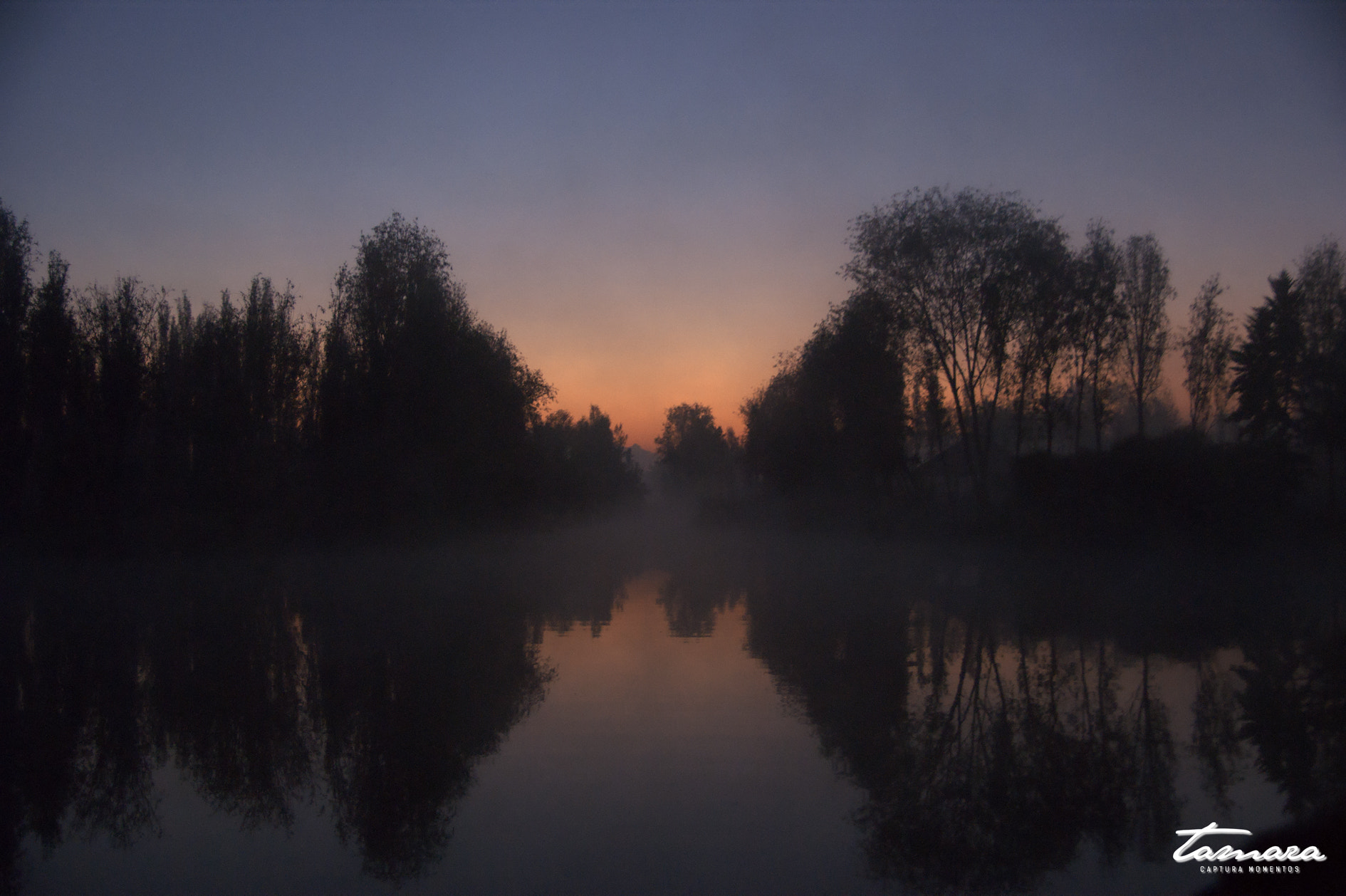 Sony DT 18-250mm F3.5-6.3 sample photo. Xochimilco photography