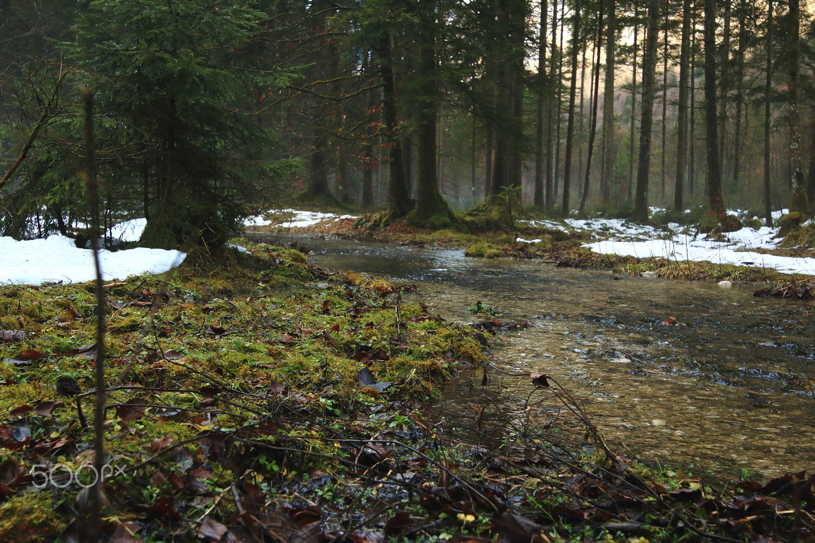 Canon EOS 750D (EOS Rebel T6i / EOS Kiss X8i) sample photo. Winterrest photography
