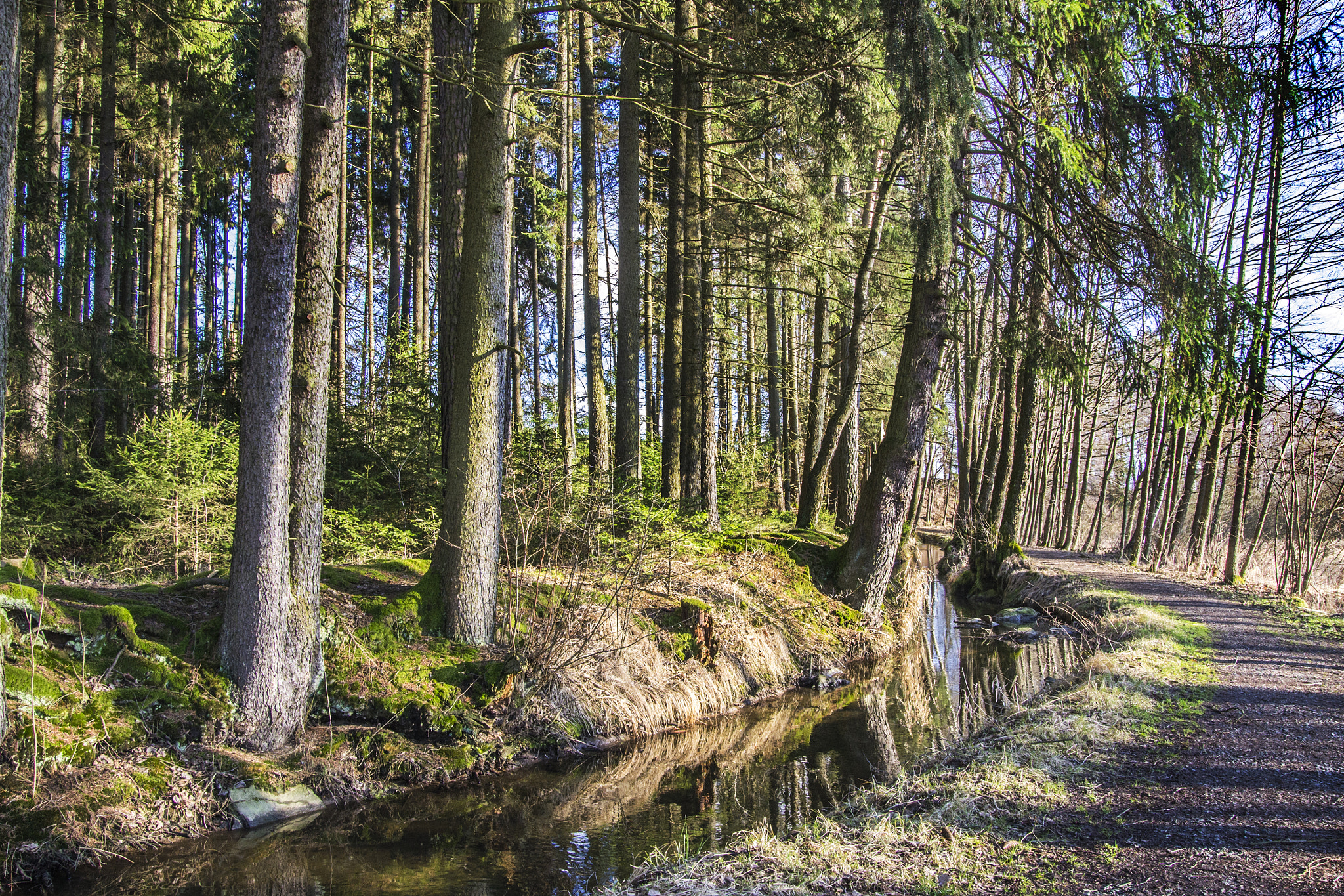 Nikon D3100 + Sigma 18-50mm F2.8 EX DC Macro sample photo. Winter in bayern, germany - 2016 photography