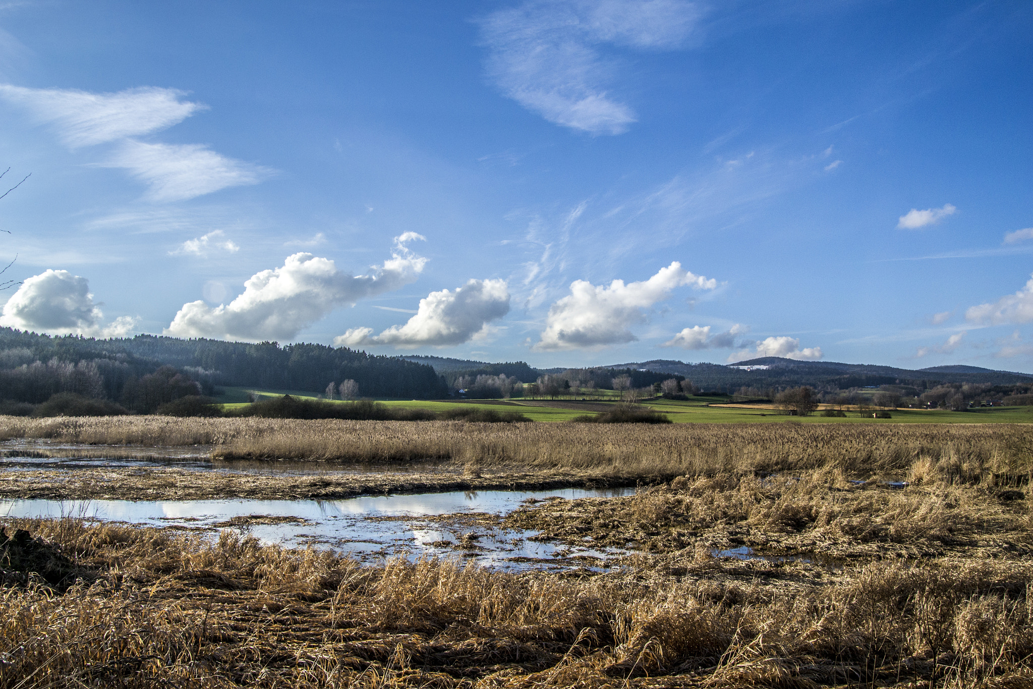 Nikon D3100 + Sigma 18-50mm F2.8 EX DC Macro sample photo. Winter in bayern, germany - 2016 photography