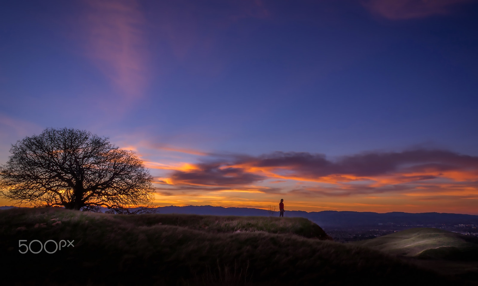 Sony Alpha DSLR-A580 sample photo. Lost in the sunset falling photography