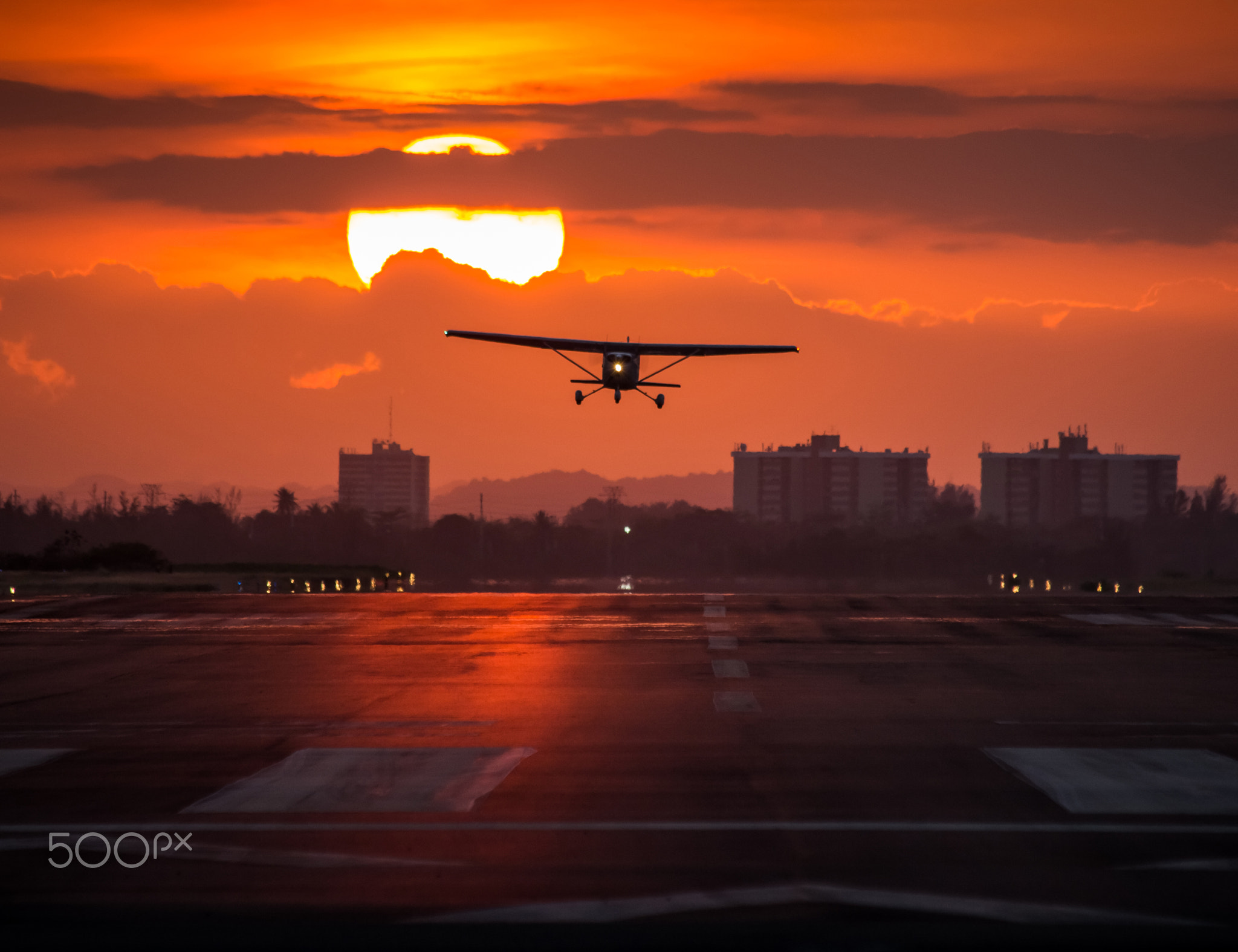 Flying Sunset