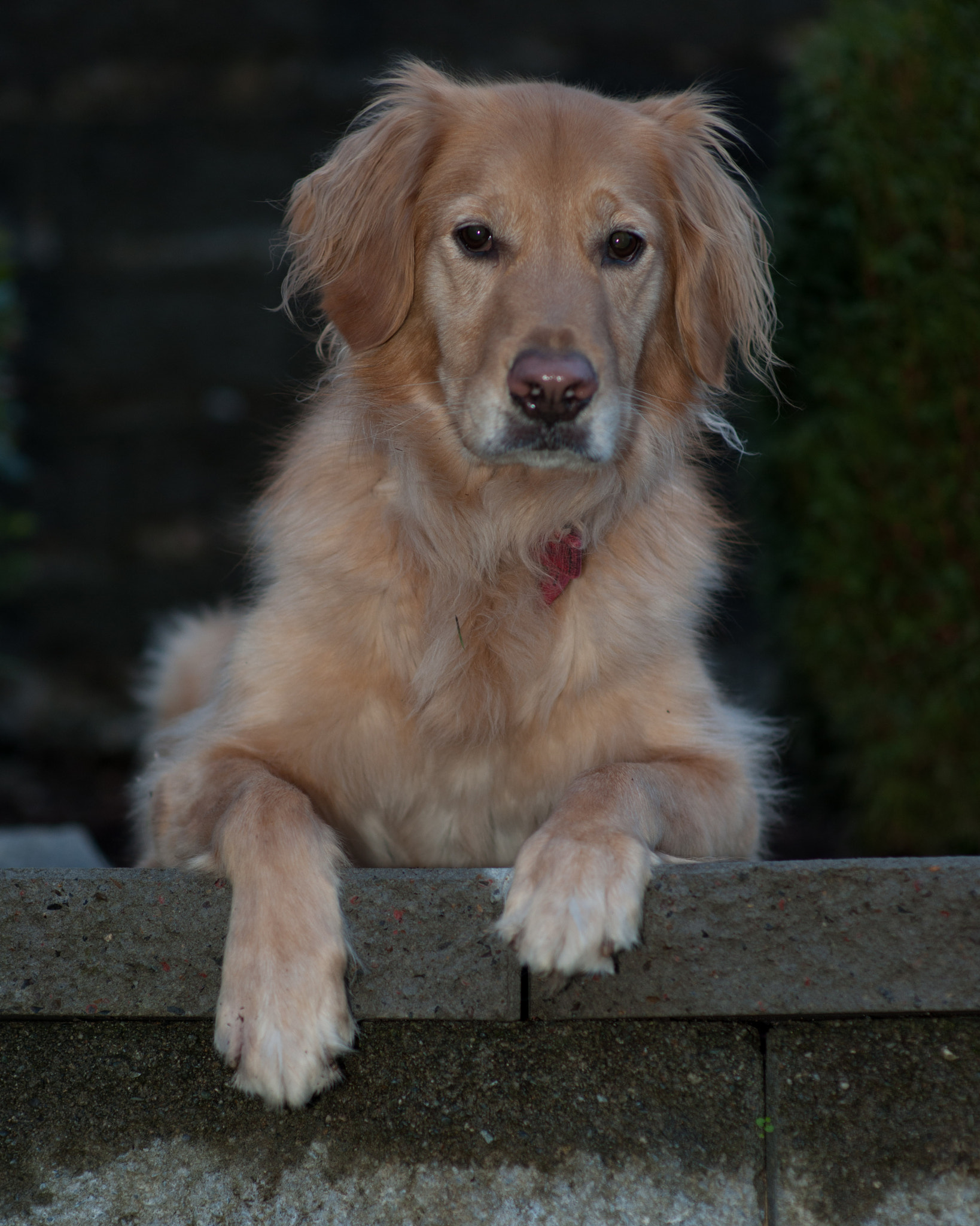 Nikon D3X + Sigma 85mm F1.4 EX DG HSM sample photo. Coulee on a wall photography