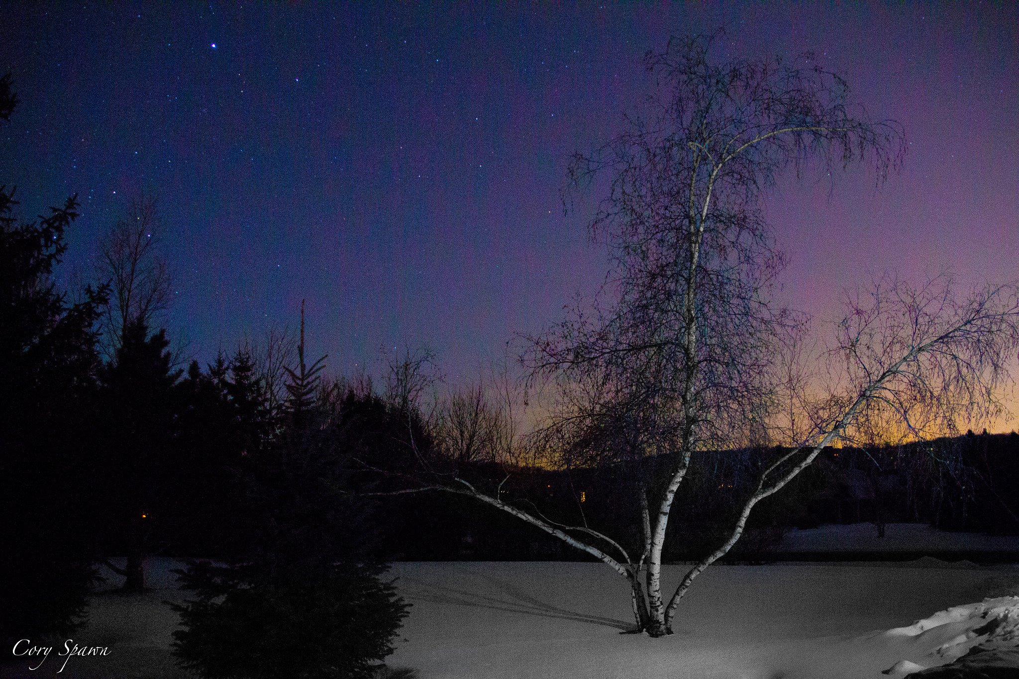 Canon EOS 700D (EOS Rebel T5i / EOS Kiss X7i) + Tamron 18-270mm F3.5-6.3 Di II VC PZD sample photo. Tree and stars photography