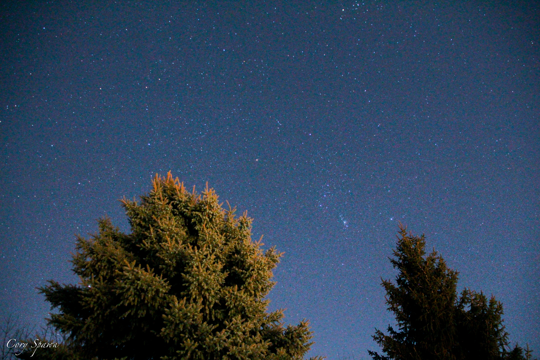 Canon EOS 700D (EOS Rebel T5i / EOS Kiss X7i) + Tamron 18-270mm F3.5-6.3 Di II VC PZD sample photo. Pine trees and stars photography