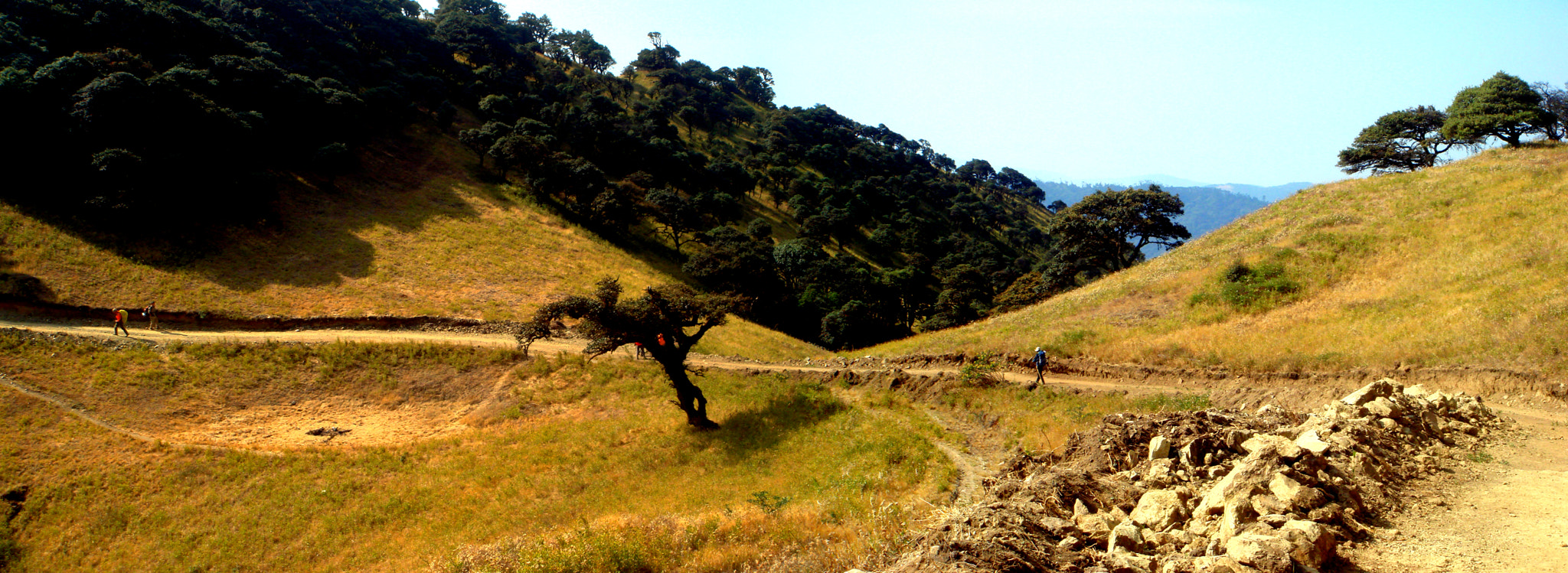 Sony DSC-T10 sample photo. A hiking trail photography