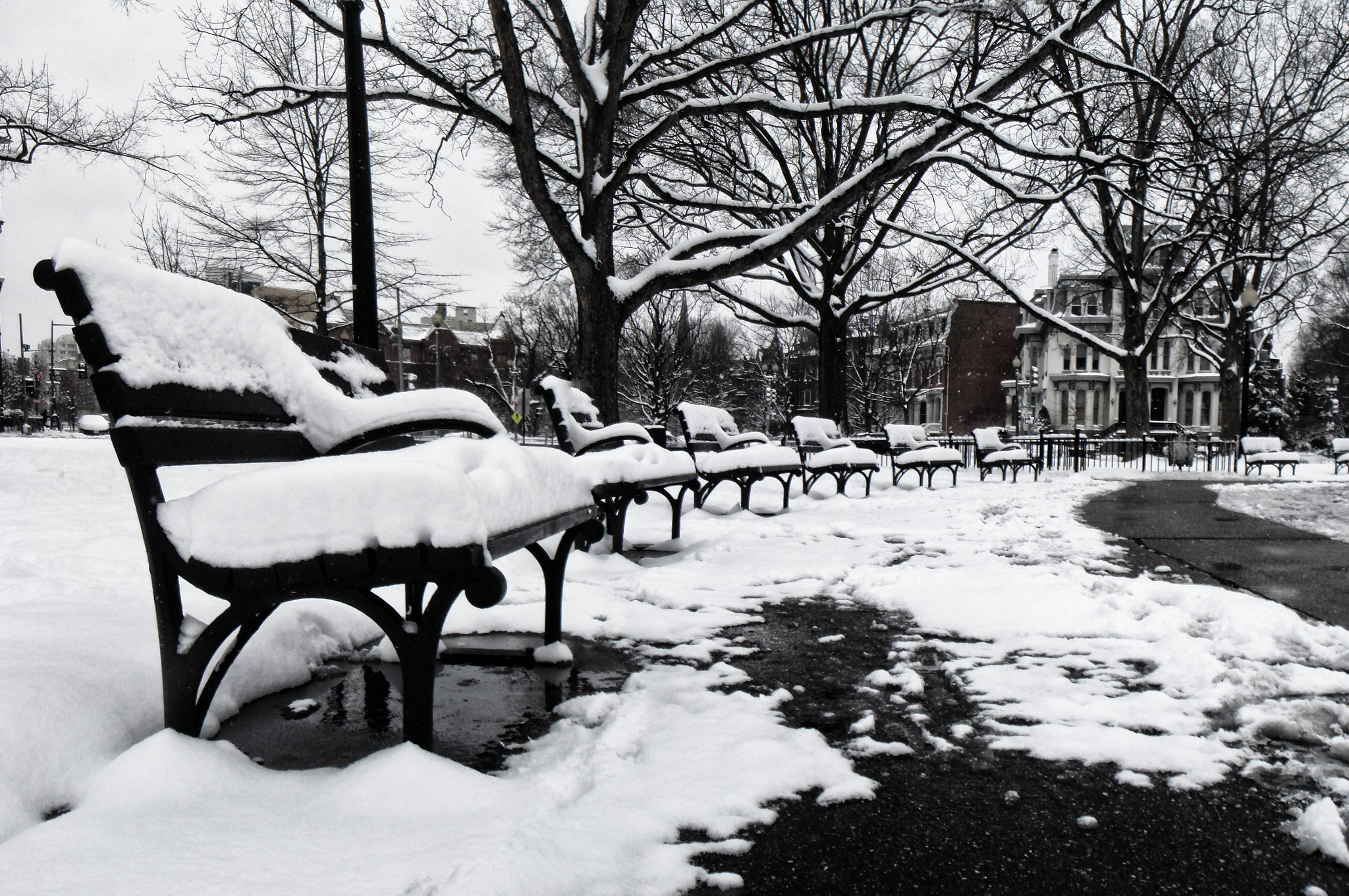 Sony DSC-T10 sample photo. Snow on benches photography