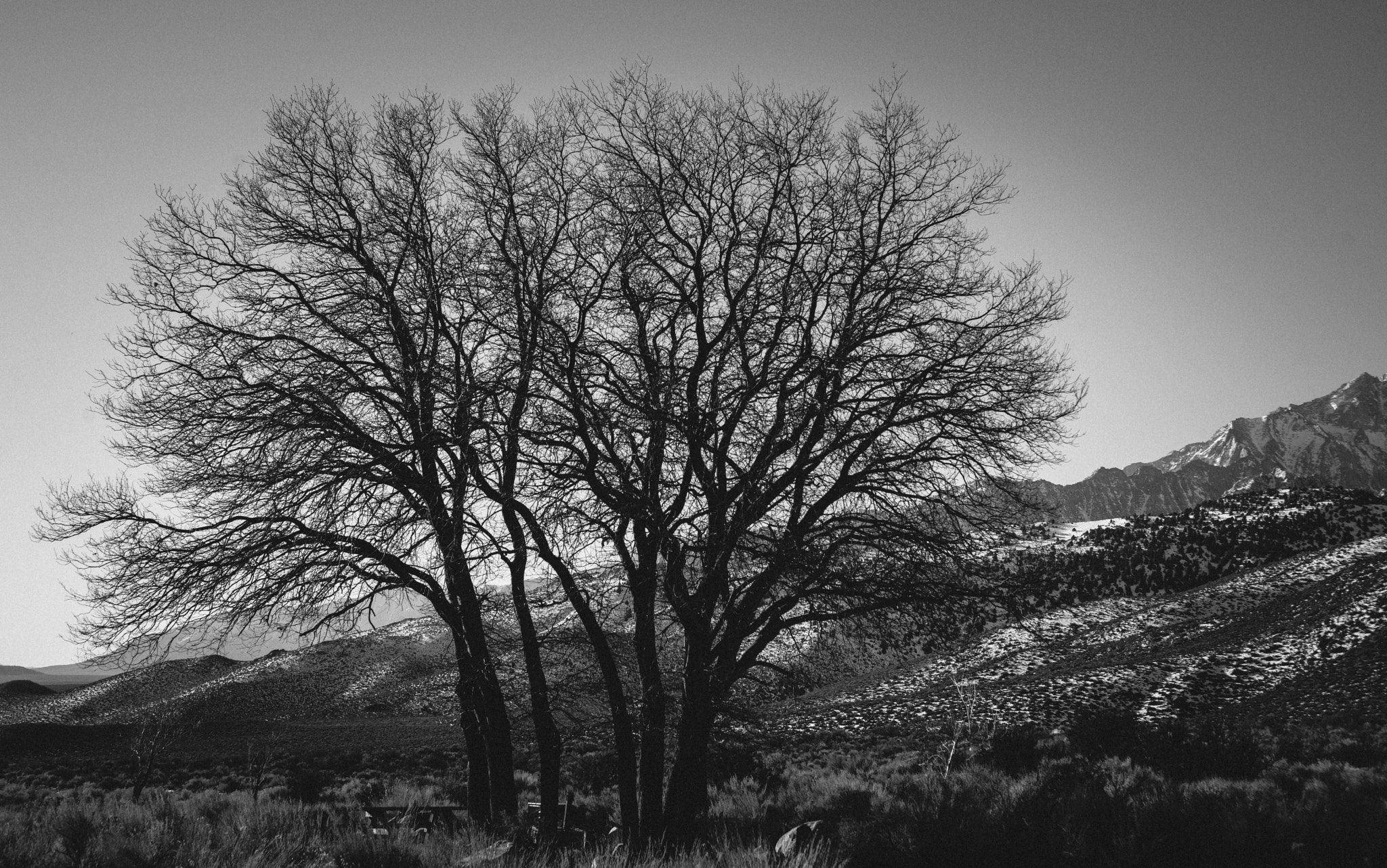 Nikon D800 + AF Zoom-Nikkor 35-70mm f/2.8 sample photo. Seven pines campground scene photography