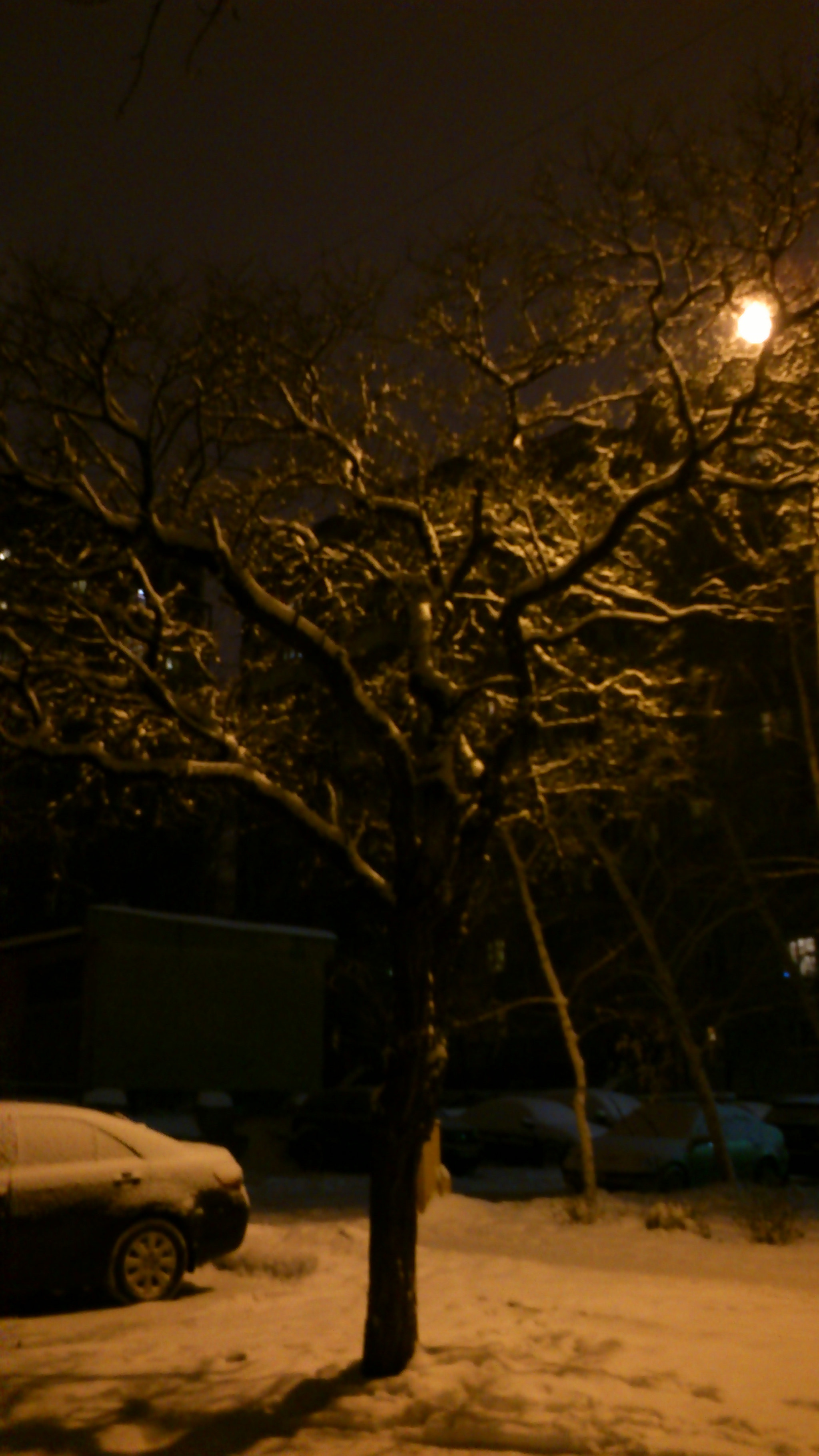 Sony Ericsson Xperia mini sample photo. [] photography