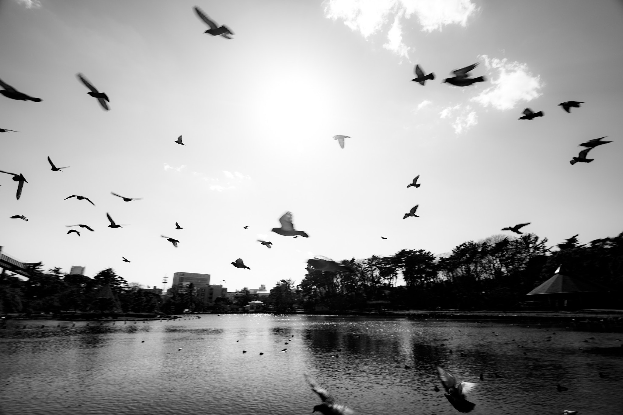 Pentax K-5 IIs sample photo. No title photography
