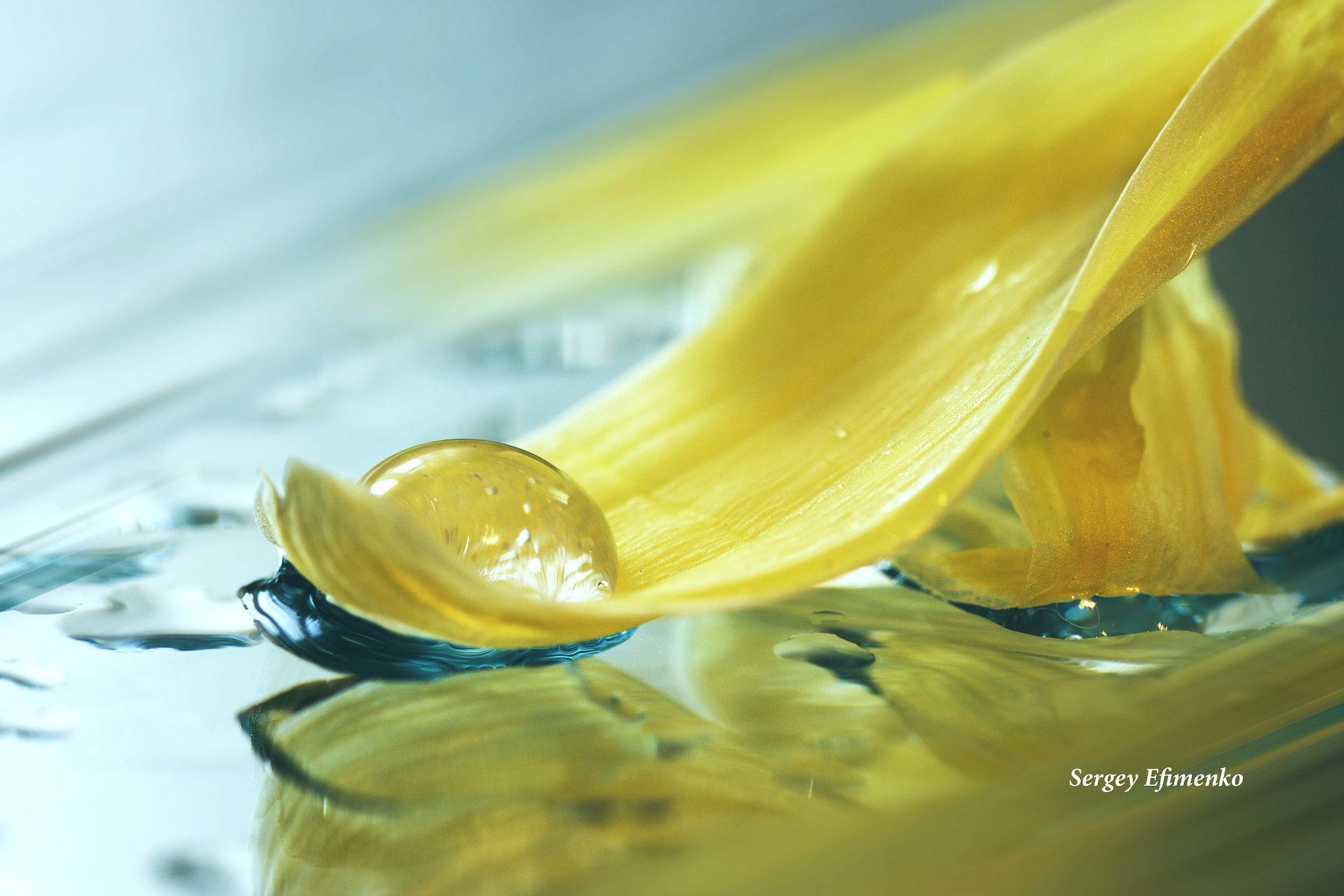 Sigma 105mm F2.8 EX DG OS HSM sample photo. Drop photography