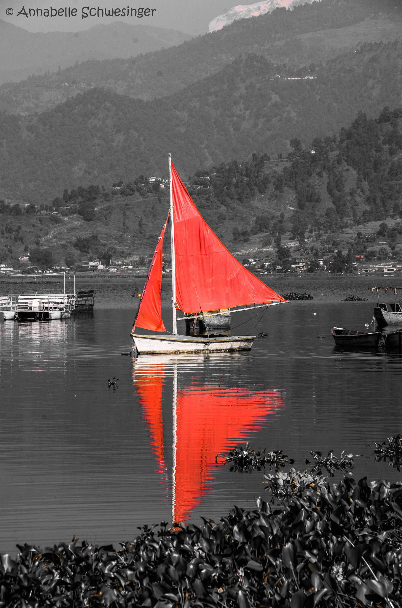 Pentax K-5 + Sigma 18-250mm F3.5-6.3 DC Macro OS HSM sample photo. Red sail photography