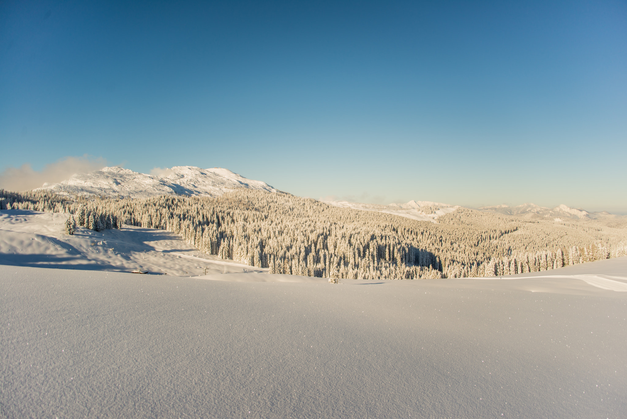 Nikon D600 + Sigma 28-200mm F3.5-5.6 Compact Aspherical Hyperzoom Macro sample photo. Winter day photography