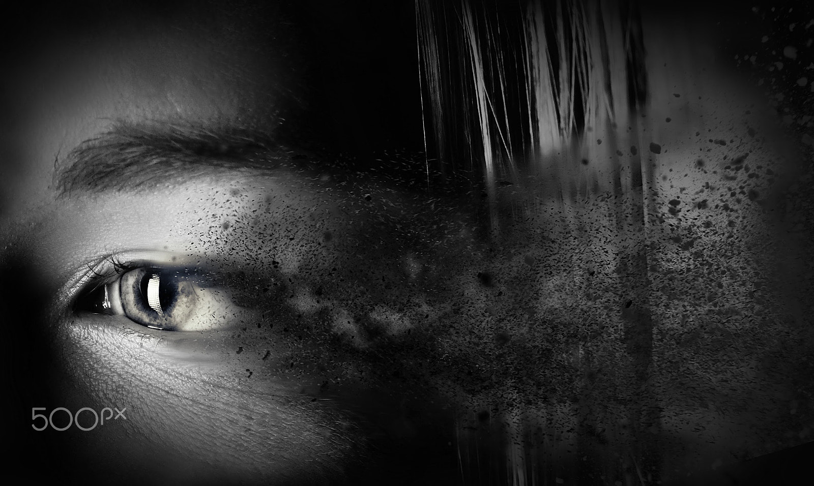 Sony ILCA-77M2 + Sony DT 50mm F1.8 SAM sample photo. Exploding eyes photography