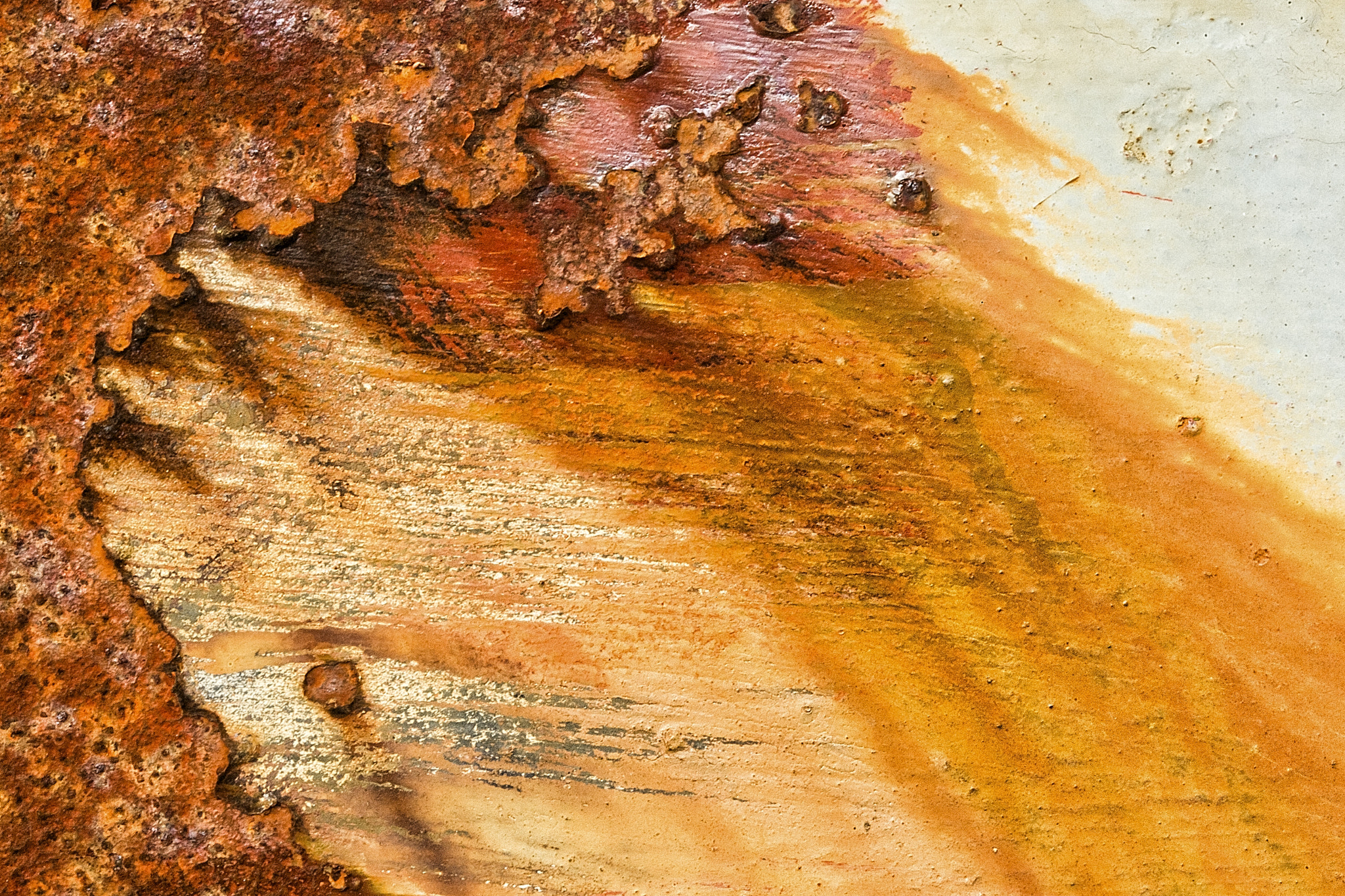 Canon EOS-1D Mark III sample photo. Rust and flakey paint 2 photography