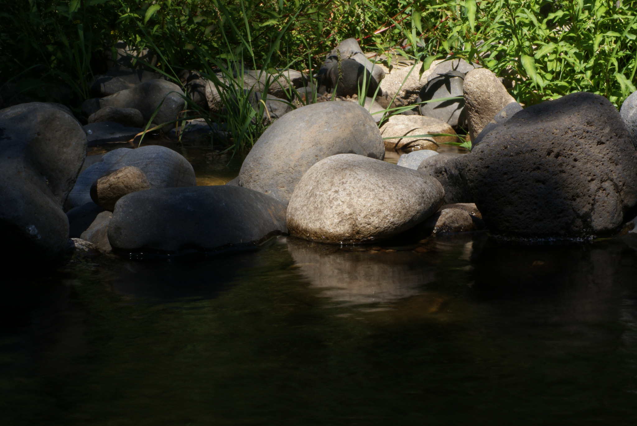 Sony DT 55-200mm F4-5.6 SAM sample photo. Bord de rivière allier photography
