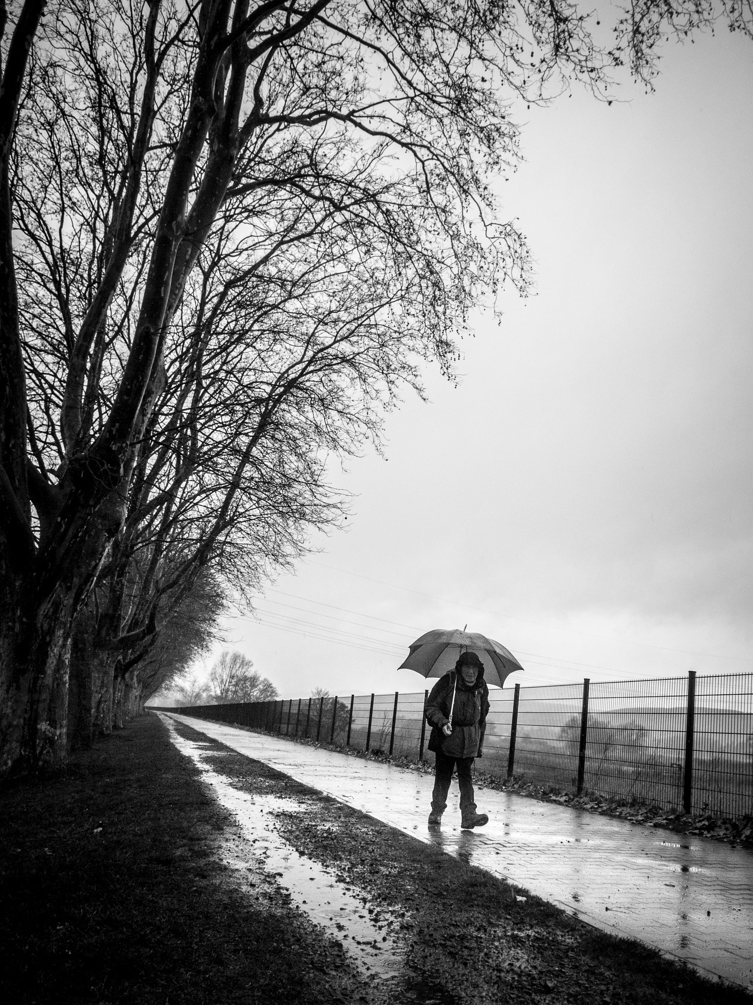 Olympus OM-D E-M5 II + OLYMPUS M.12mm F2.0 sample photo. Rainman photography