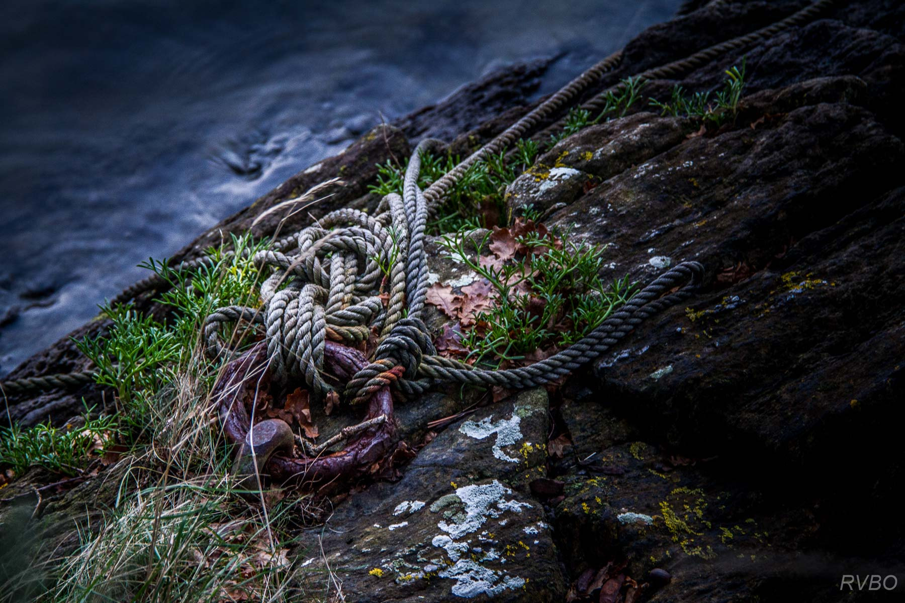 Canon EF 70-200mm F4L IS USM sample photo. Sac de noeuds photography