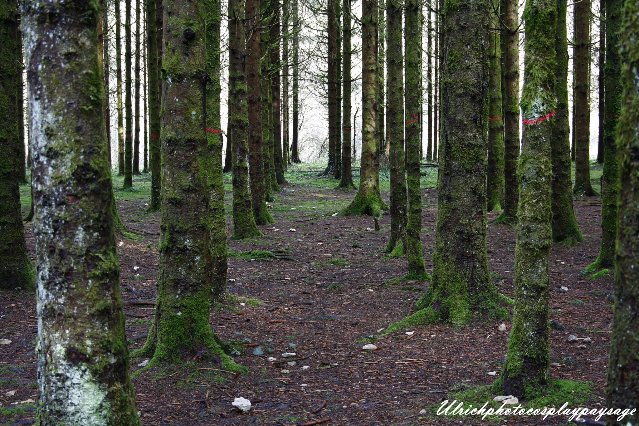 Canon EF 24-105mm F3.5-5.6 IS STM sample photo. Douglas photography