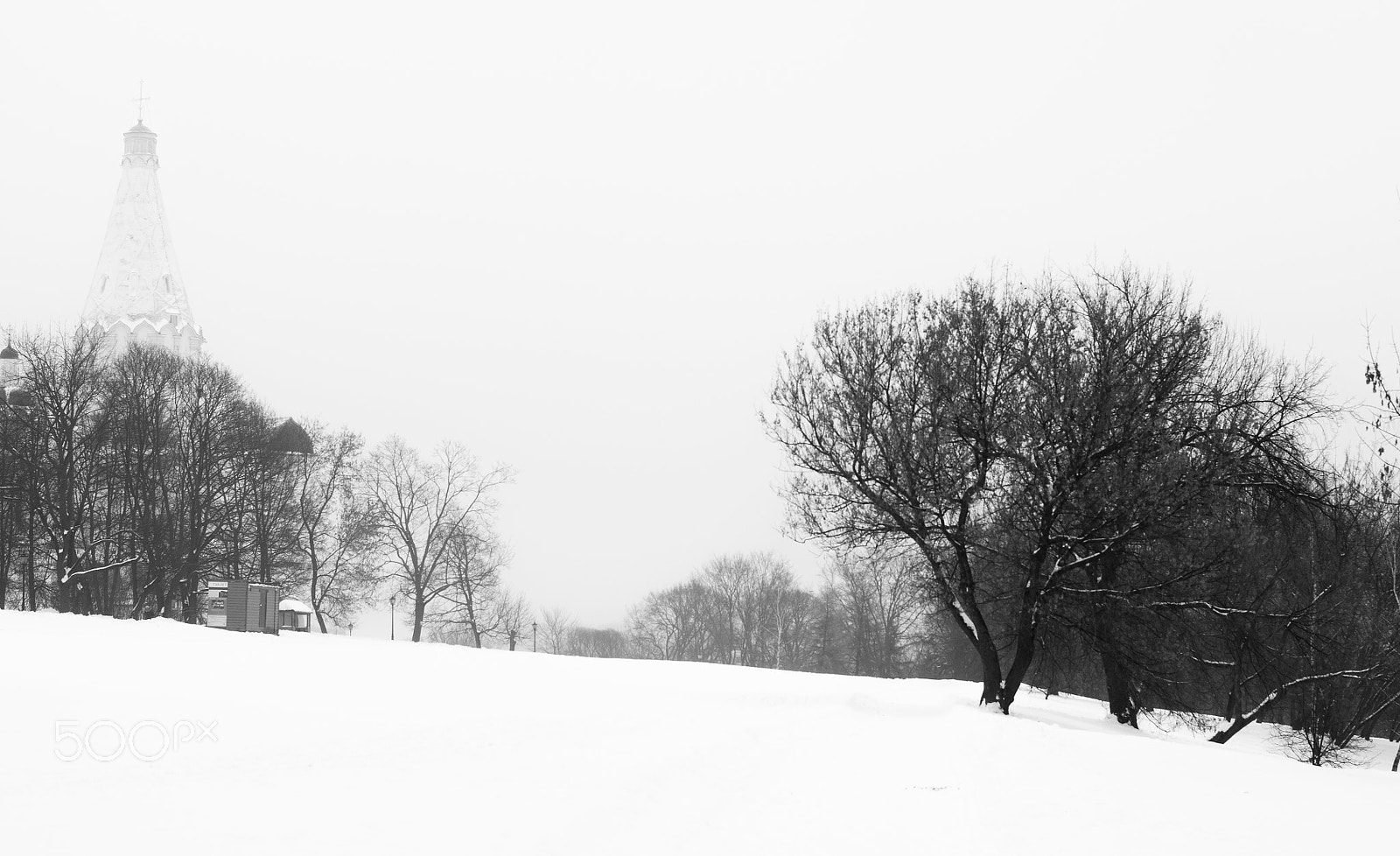 Sony Alpha DSLR-A500 + Sony 50mm F1.4 sample photo. Winter beauty 1 photography