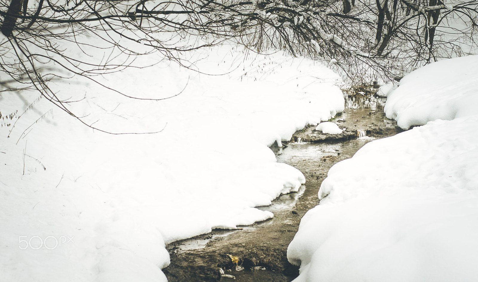 Sony Alpha DSLR-A500 + Sony 50mm F1.4 sample photo. Winter beauty 2 photography