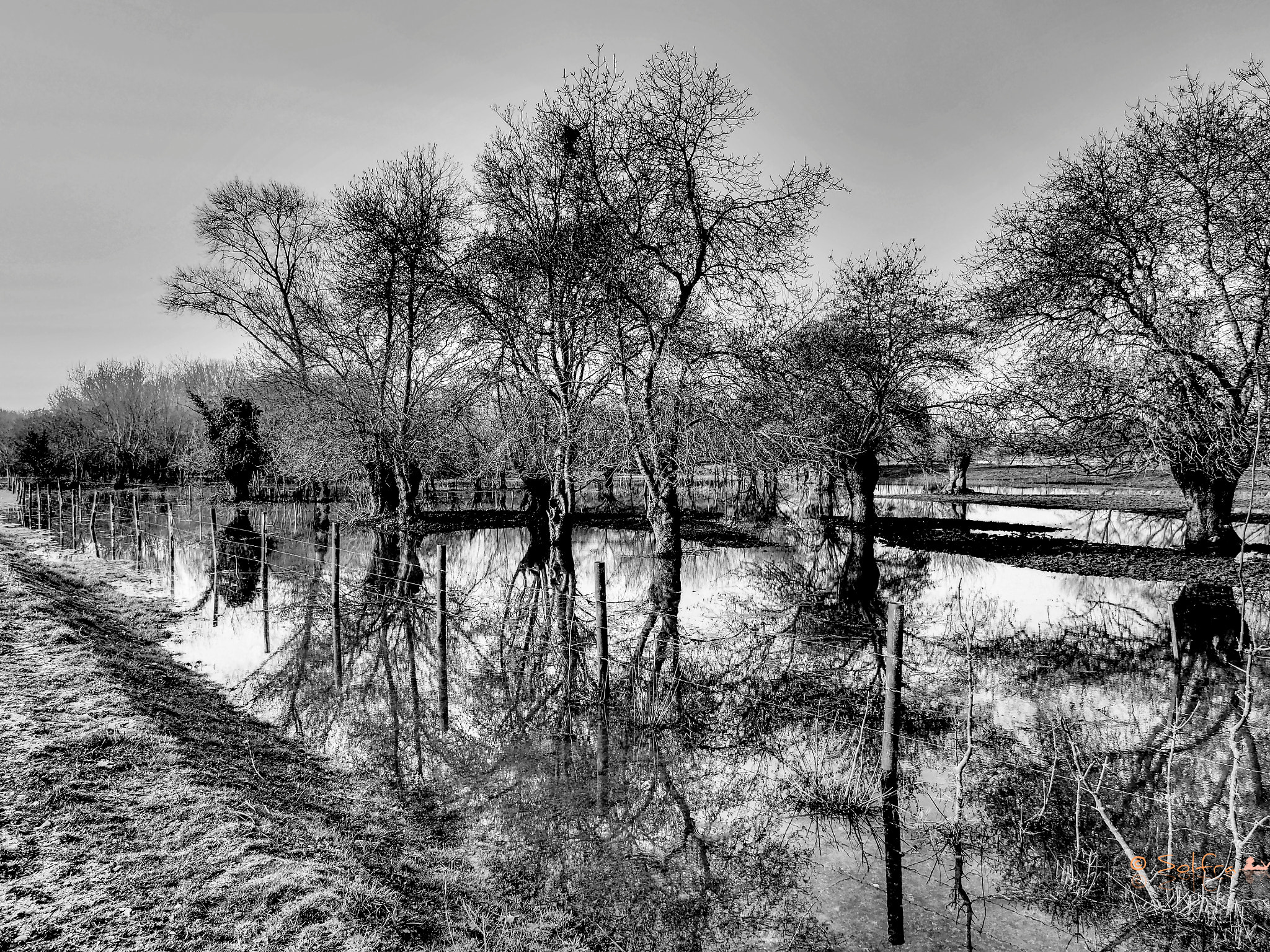 OLYMPUS M.12mm F2.0 Ltd Blk sample photo. The flood photography