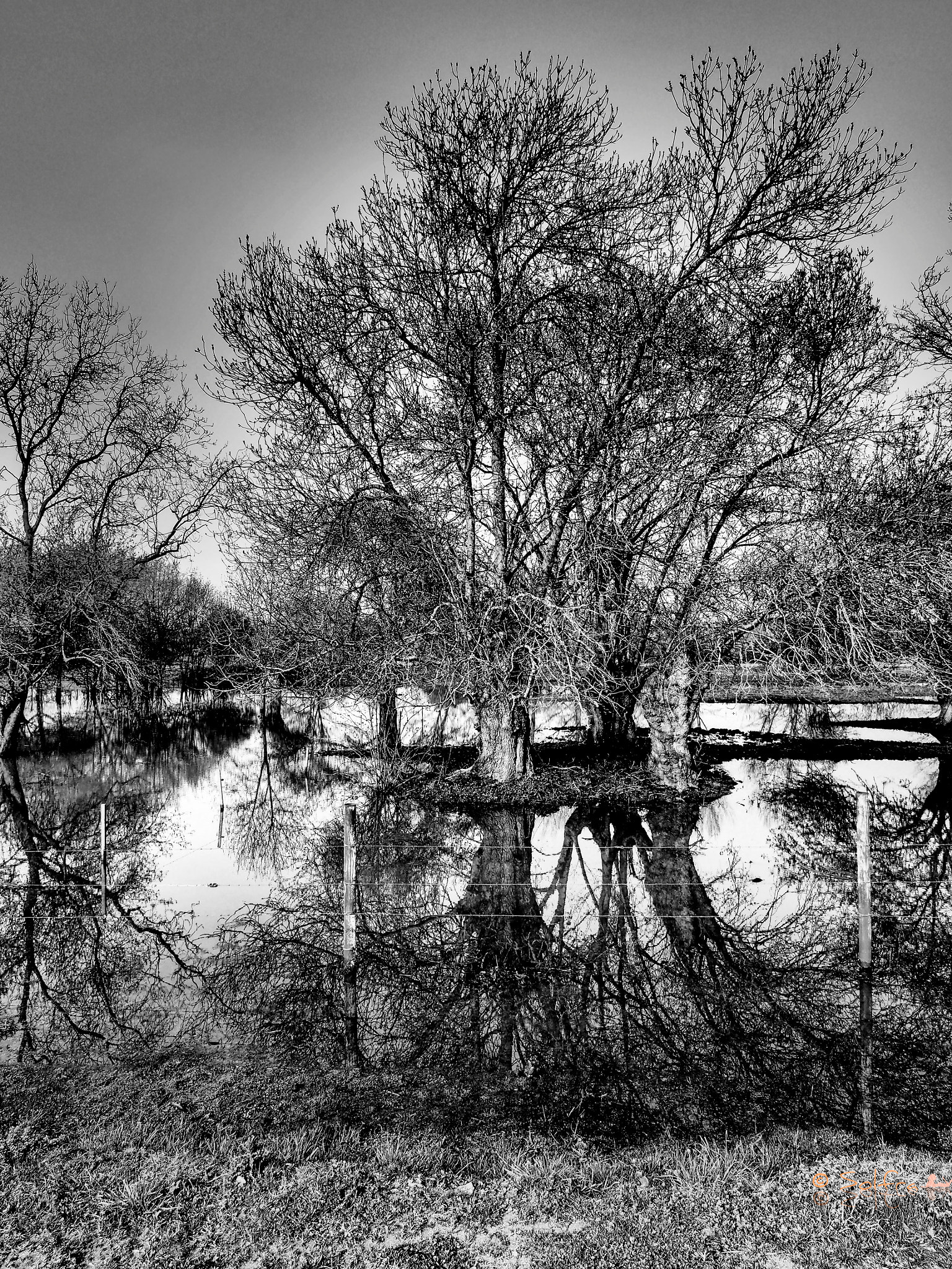 Olympus OM-D E-M5 + OLYMPUS M.12mm F2.0 Ltd Blk sample photo. The flood photography