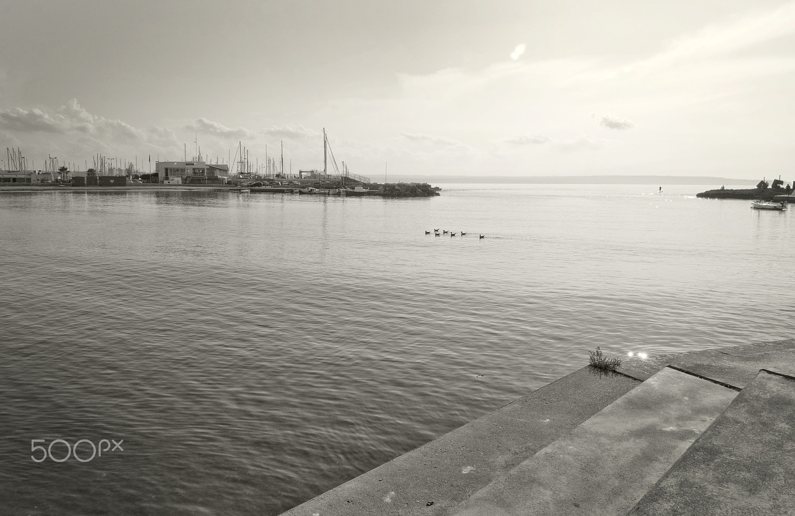 Nikon AF-S Nikkor 28-70mm F2.8 ED-IF sample photo. Tranquil winter bay with flock of birds photography