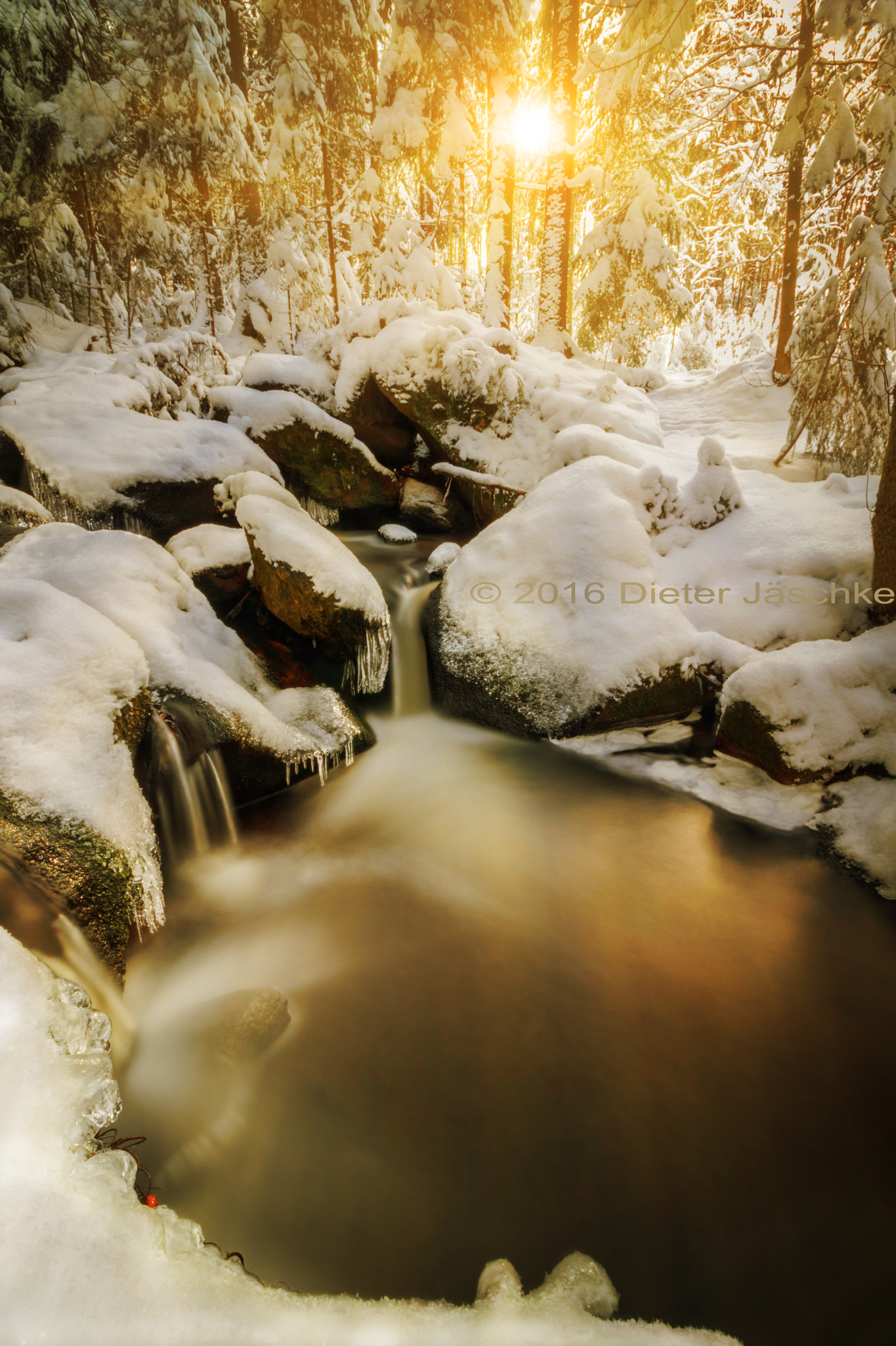Canon EF-S 10-18mm F4.5–5.6 IS STM sample photo. Moment of warmness photography