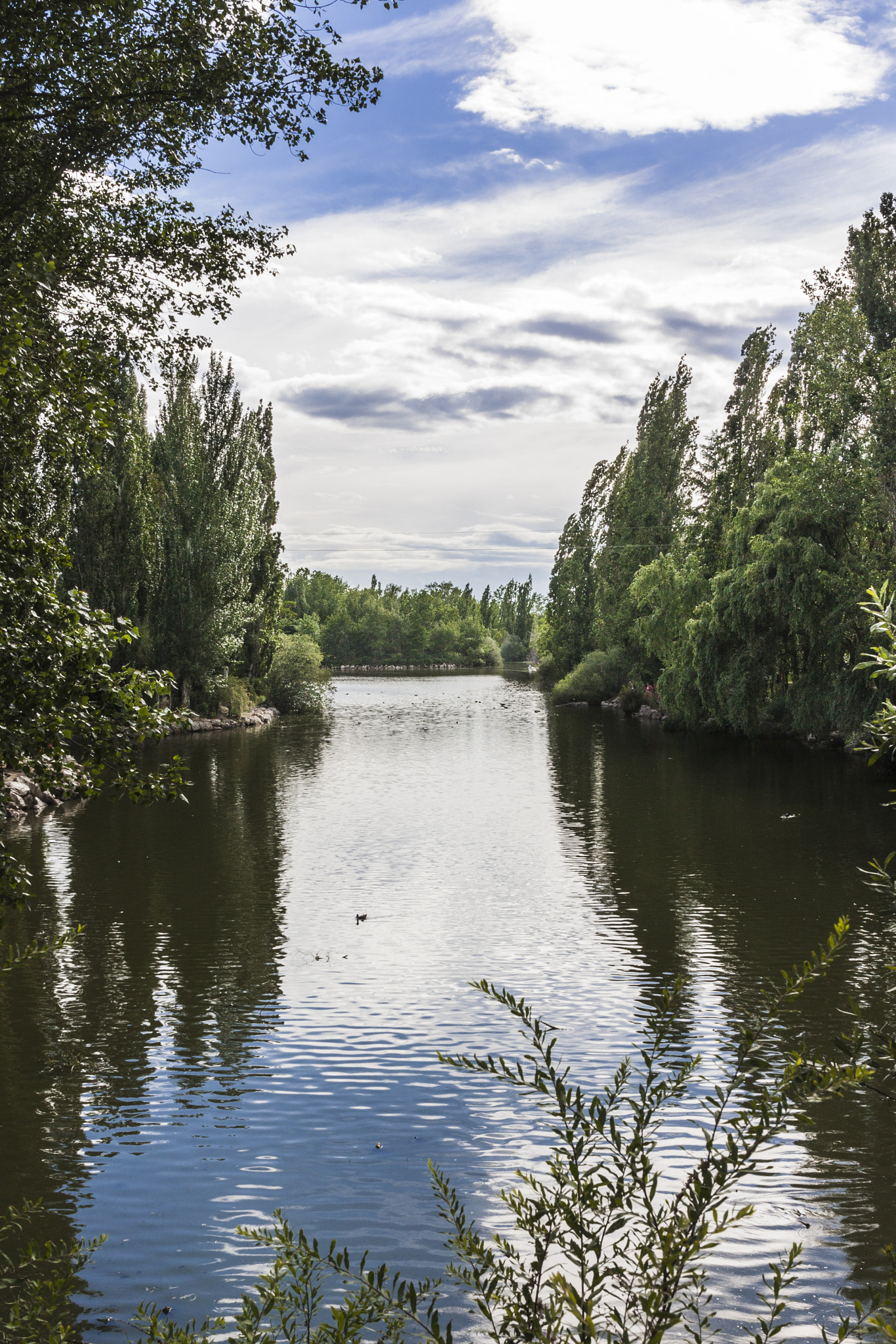 Canon EF 24-70mm F4L IS USM sample photo. Lago de el soto photography
